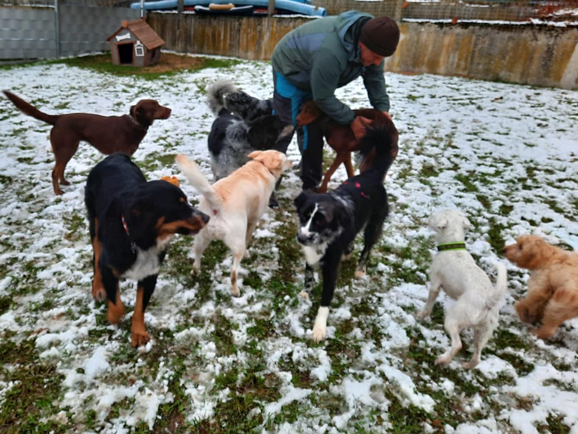 Ansicht 2 von Hundepension BelLissiMo