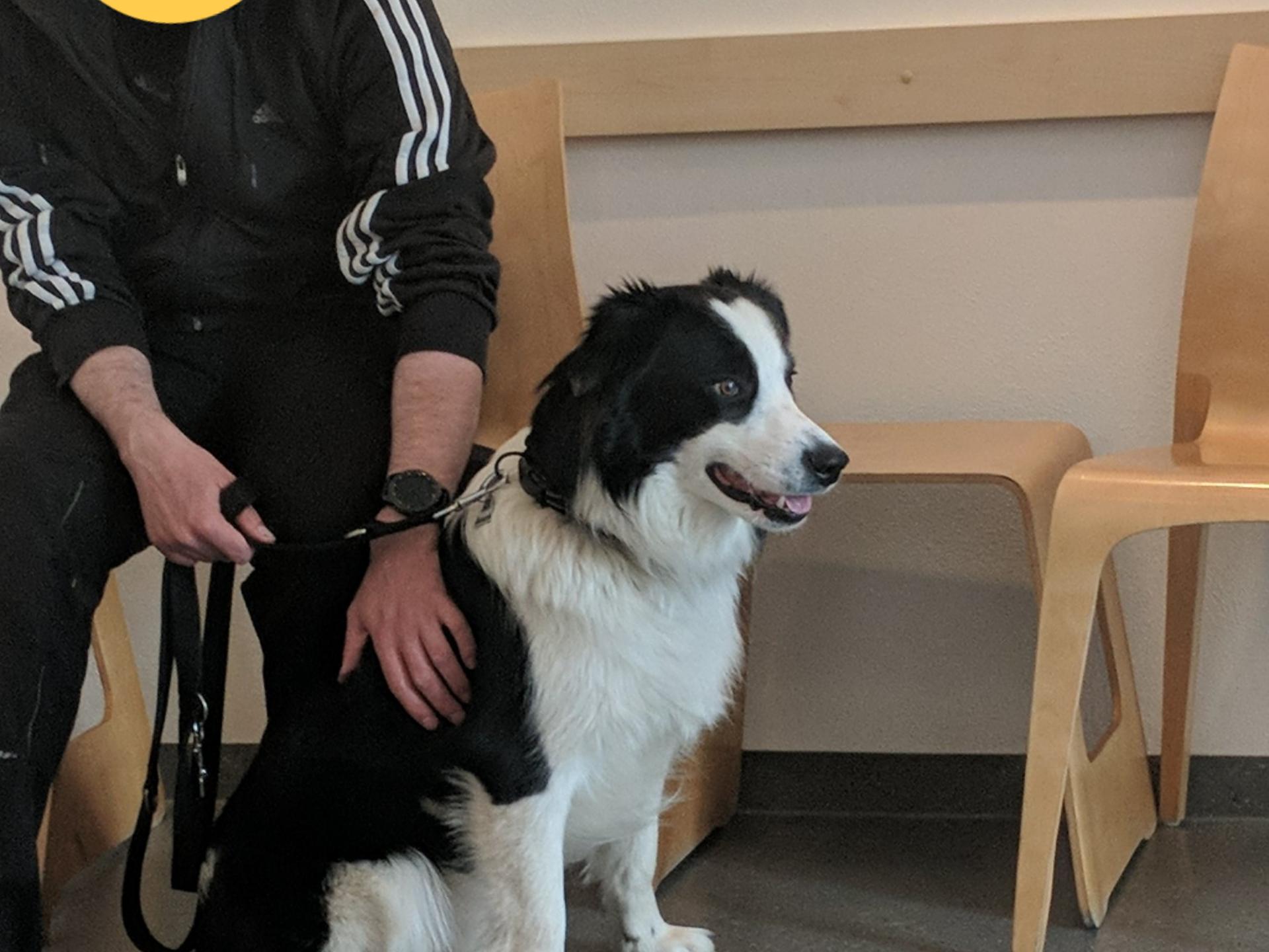 Ansicht 3 von Dr.med.vet. Ulf-Dieter Pauling - Ingolstadt