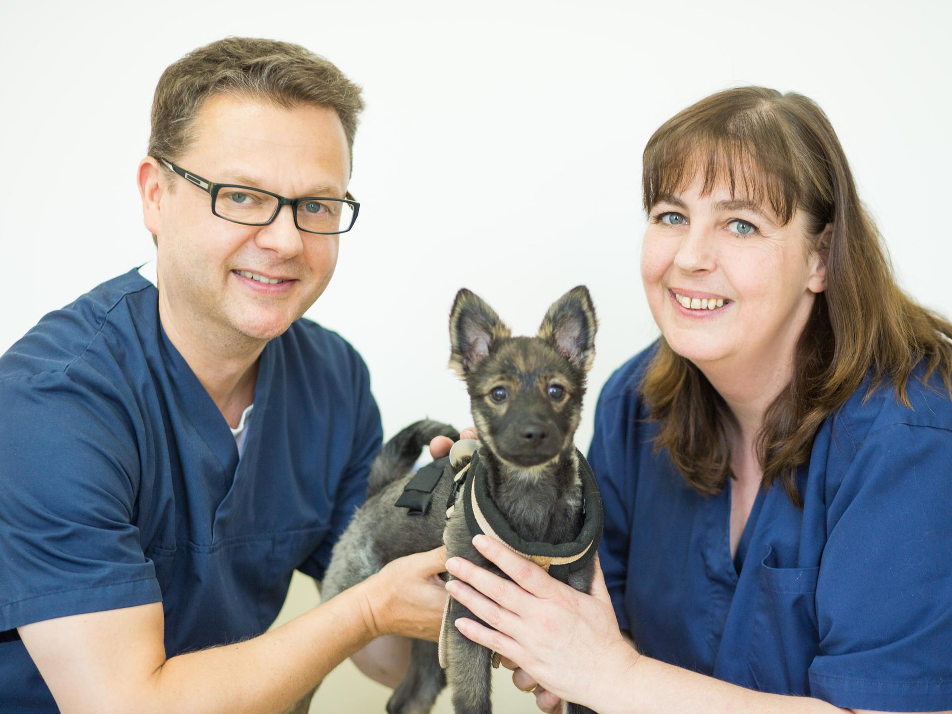 Ansicht 1 von Bergmann und Stutte ; Tierärztliche Gemeinschaftspraxis