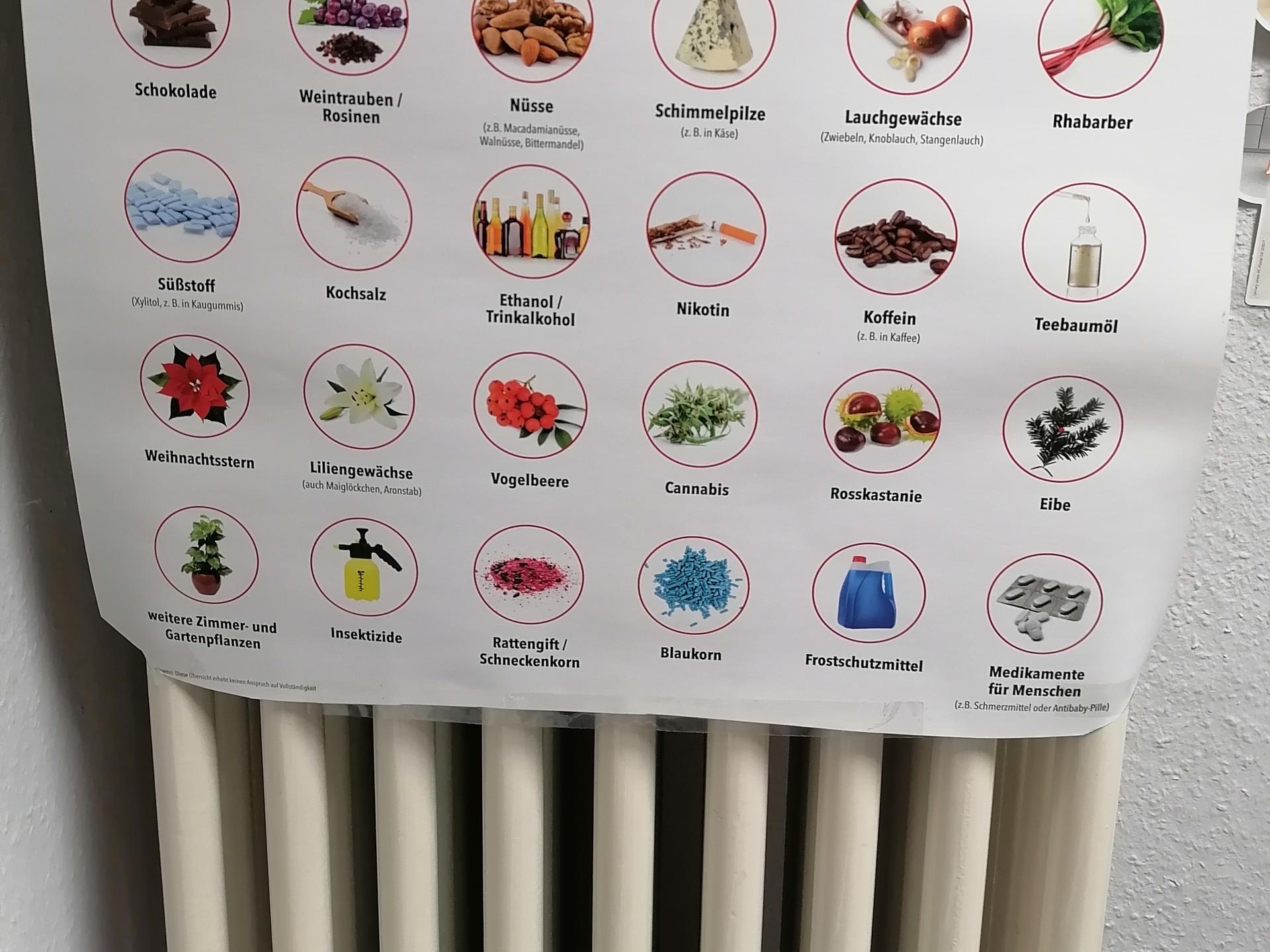 Ansicht 3 von Kleintierpraxis Breitling