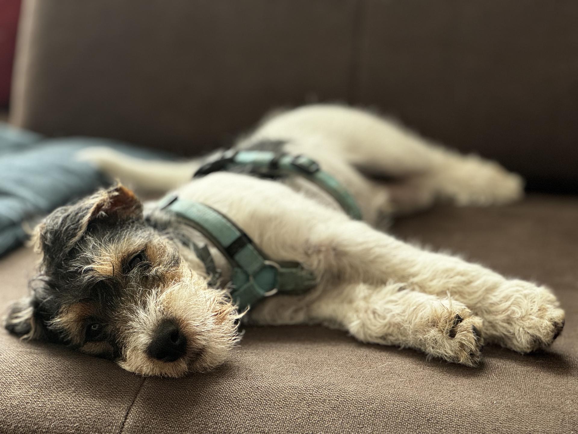 View 3 of Tierarztpraxis Röckemann & Orphanos