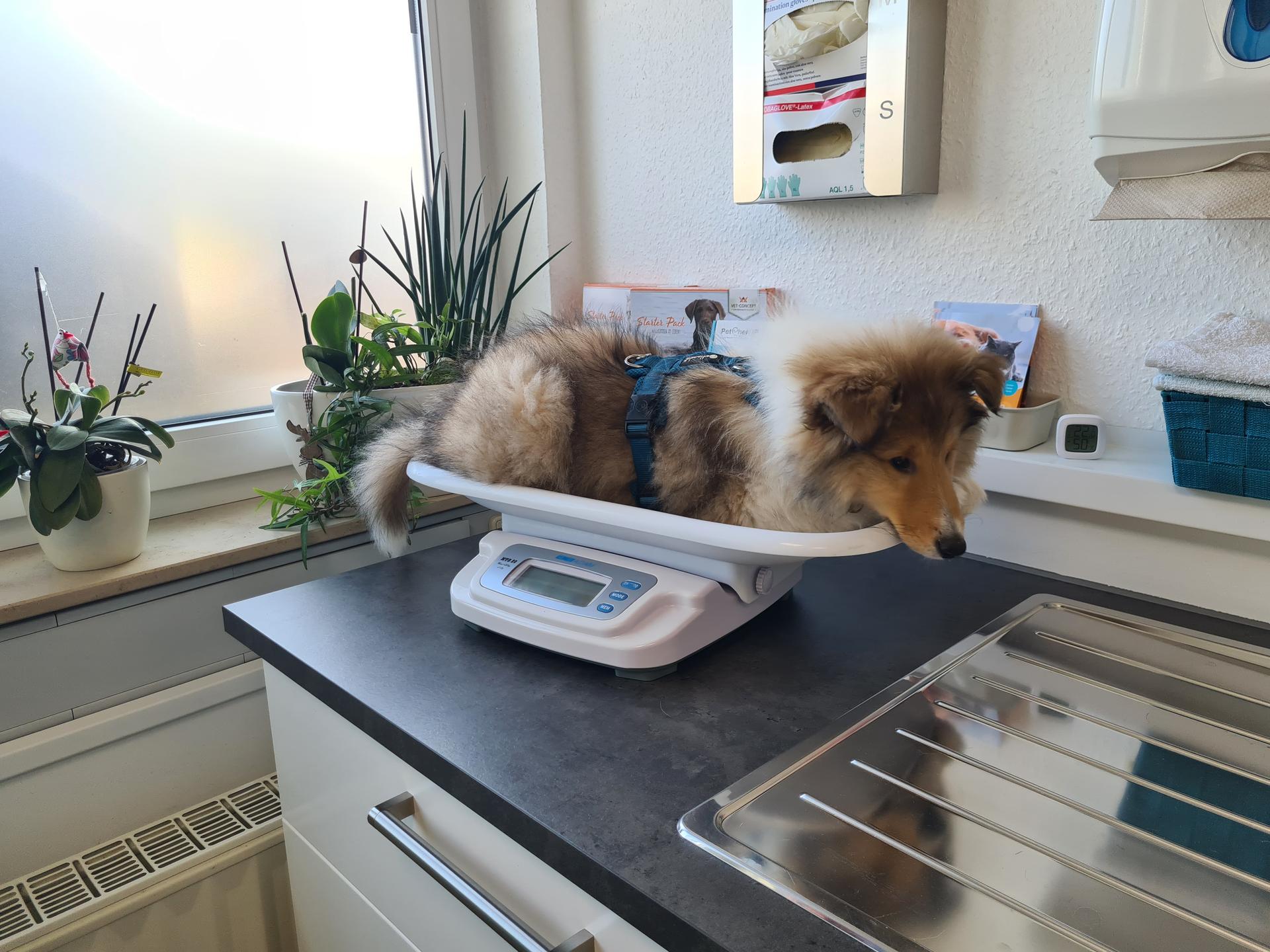 Ansicht 3 von VETS Kleintierpraxis GmbH
