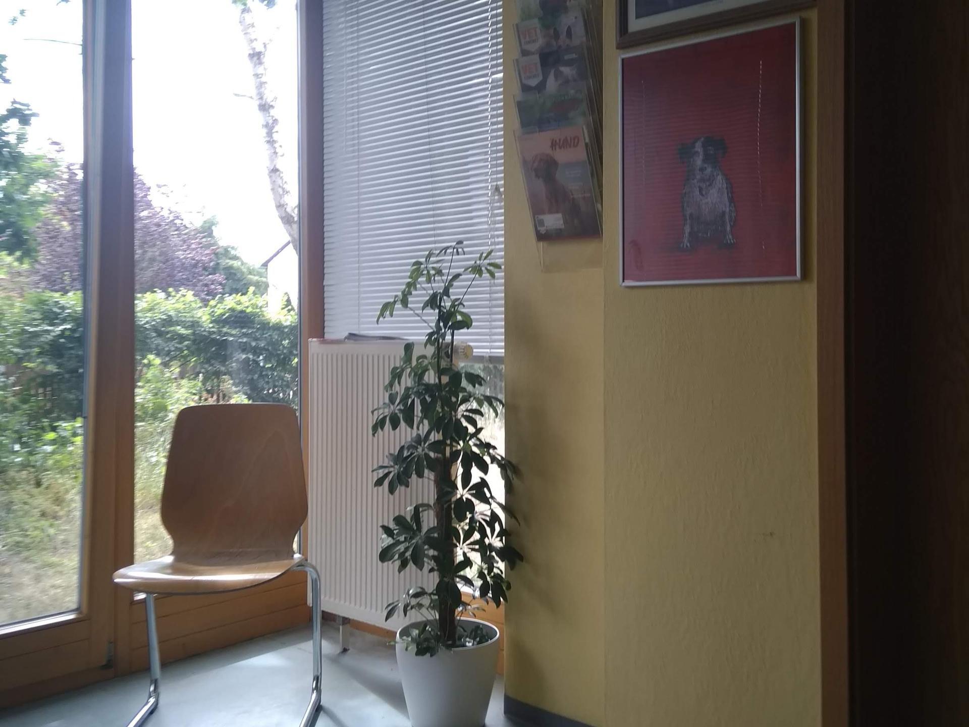 Ansicht 2 von Brigitte Roscher-Ferstl Tierärztin