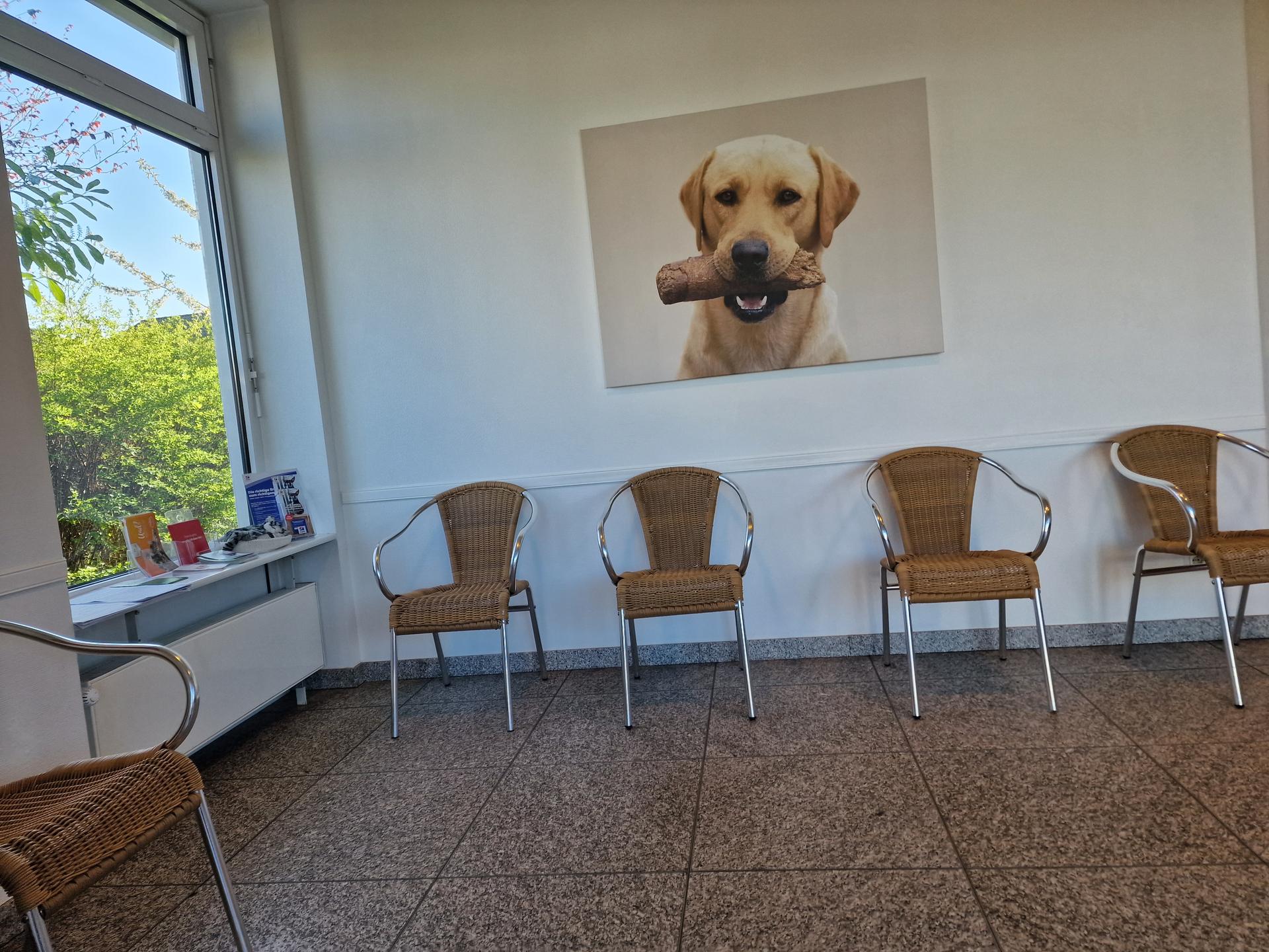 View 1 of Dr. med. vet. Dirk Schiller