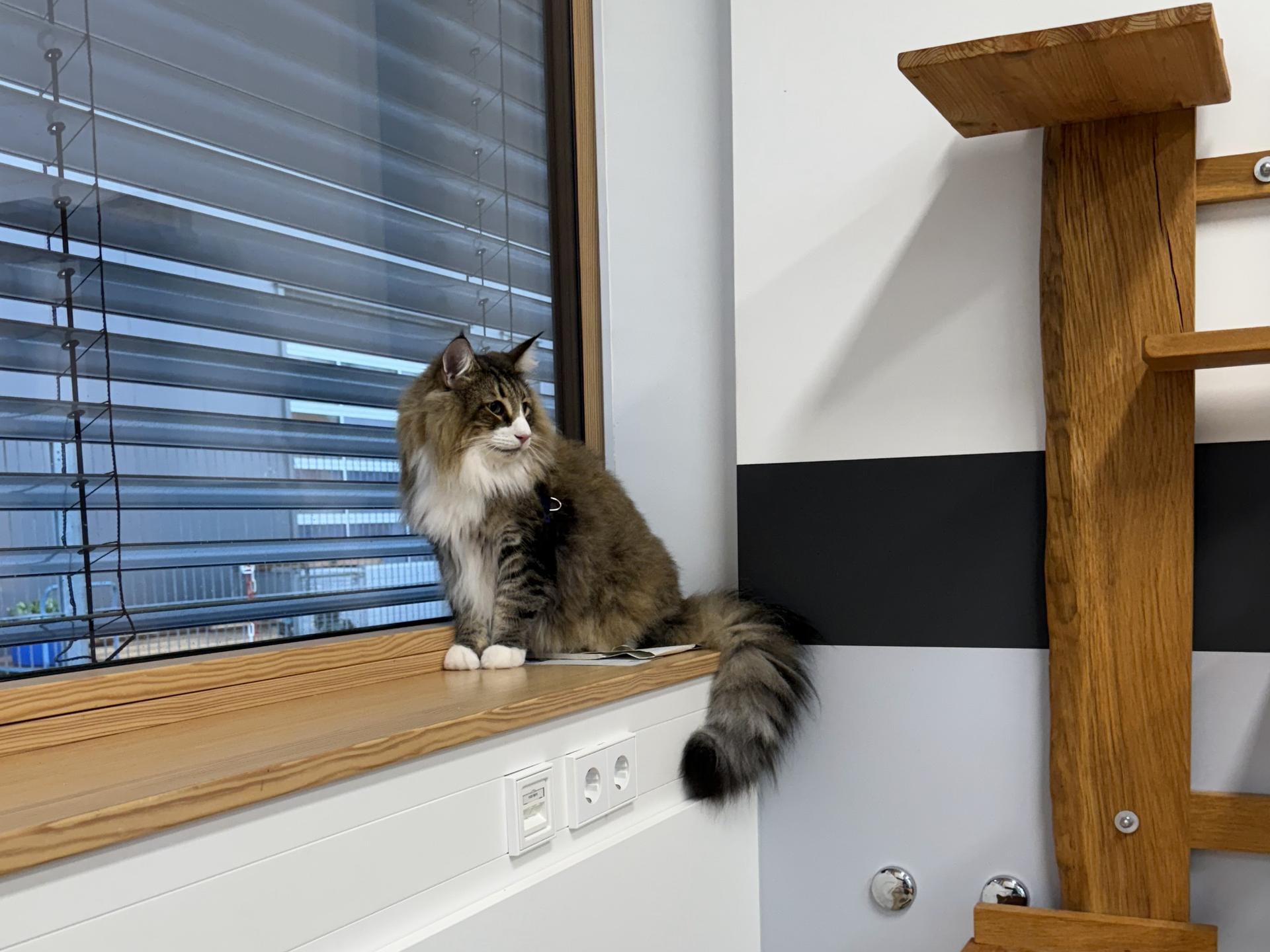 Ansicht 3 von AniCura Tierklinik Stuttgart Plieningen