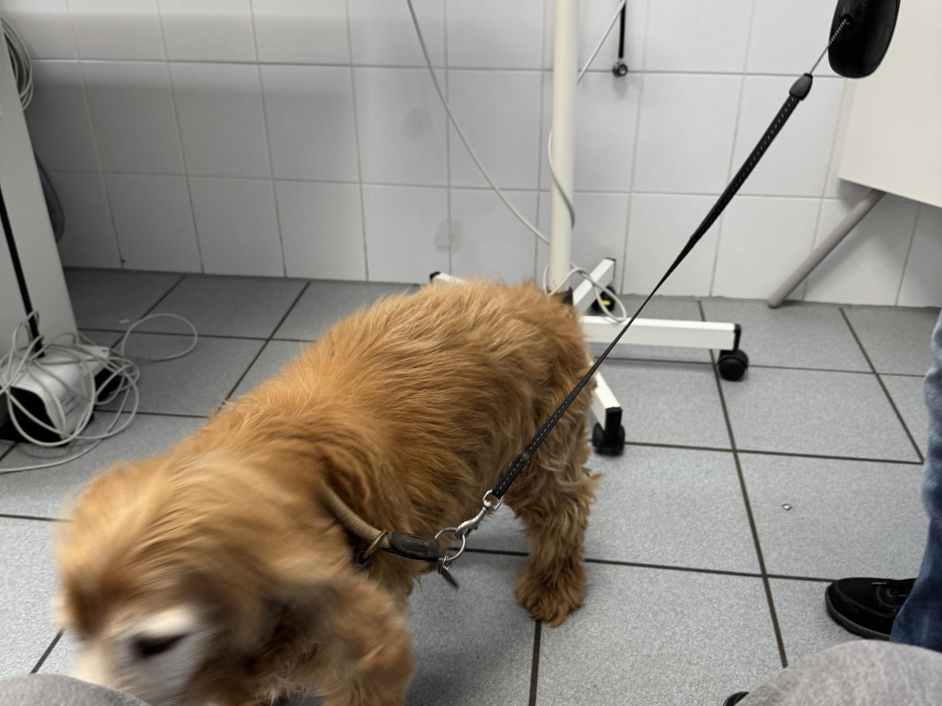 View 3 of Dr.med.vet. Marco Germann Tierarzt