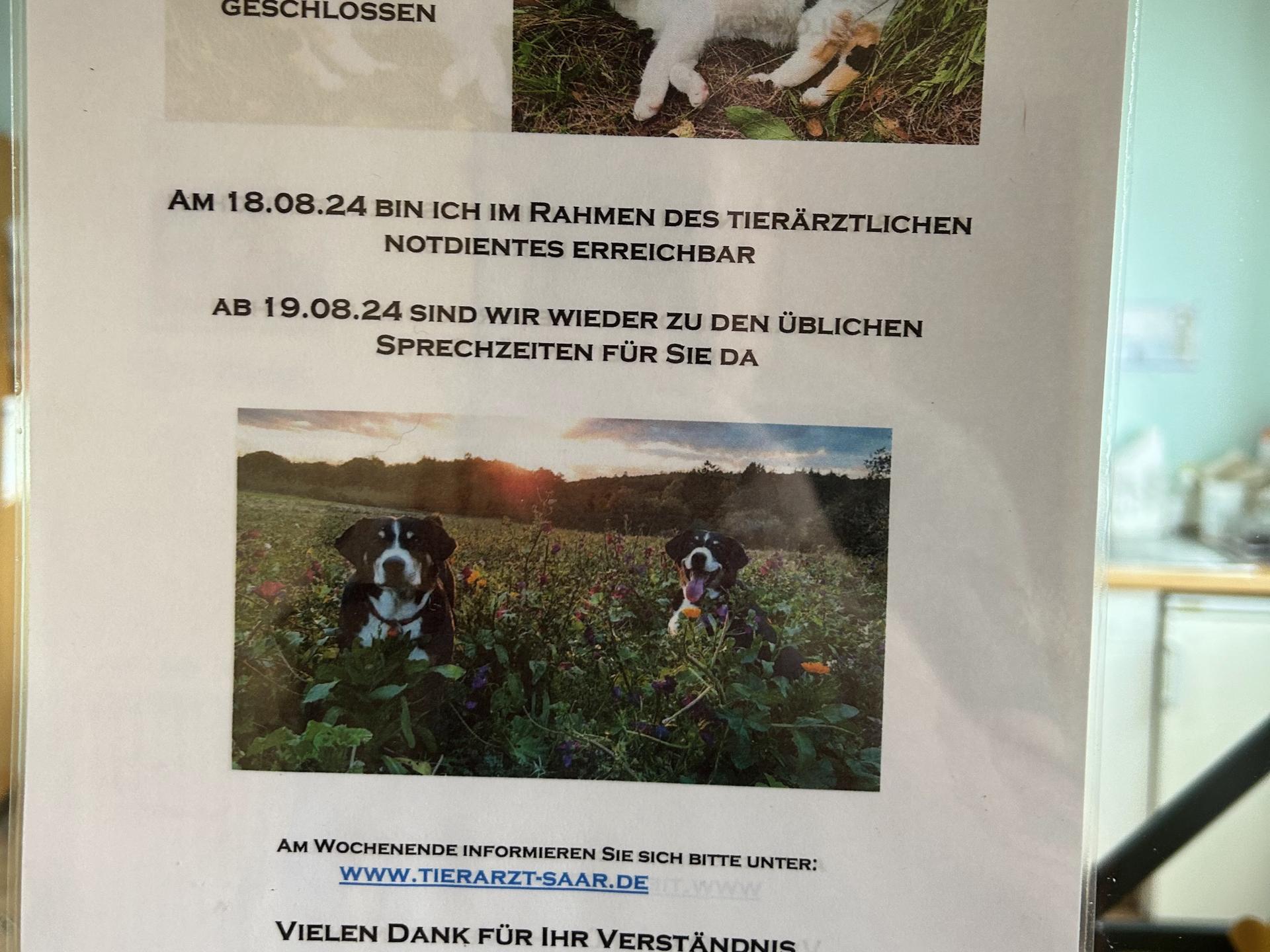 Ansicht 2 von Dr. med. vet. Elvira Engelsmann Tierarztpraxis