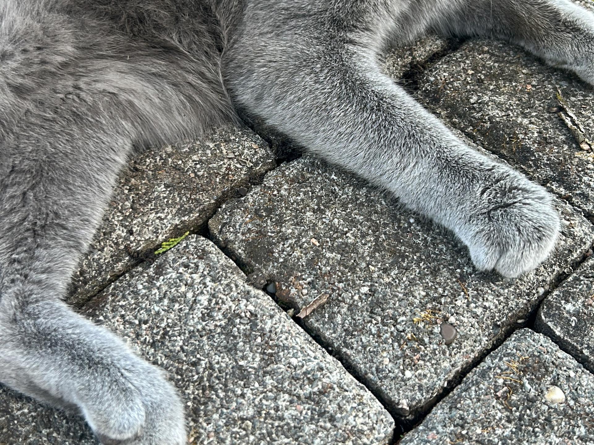 Ansicht 1 von Tierarztpraxis Dr. Nicole Dubois