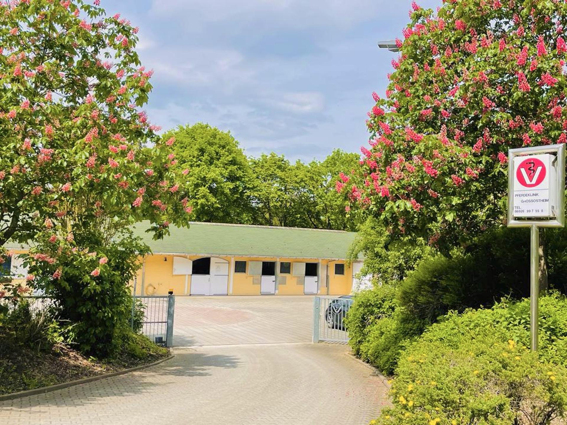 Ansicht 1 von Pferdeklinik Großostheim