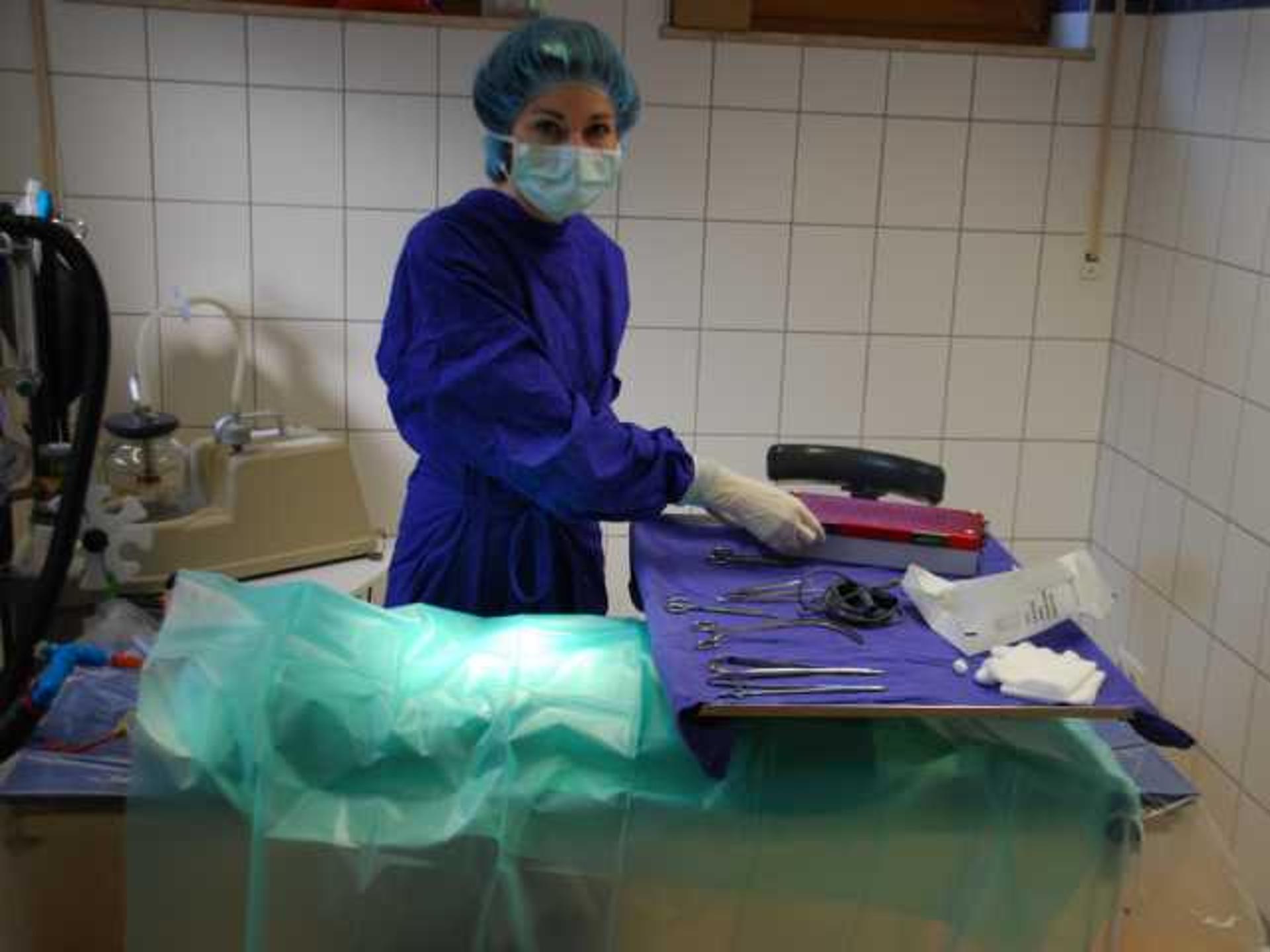 Ansicht 2 von Dr.med.vet. Marion Andreas