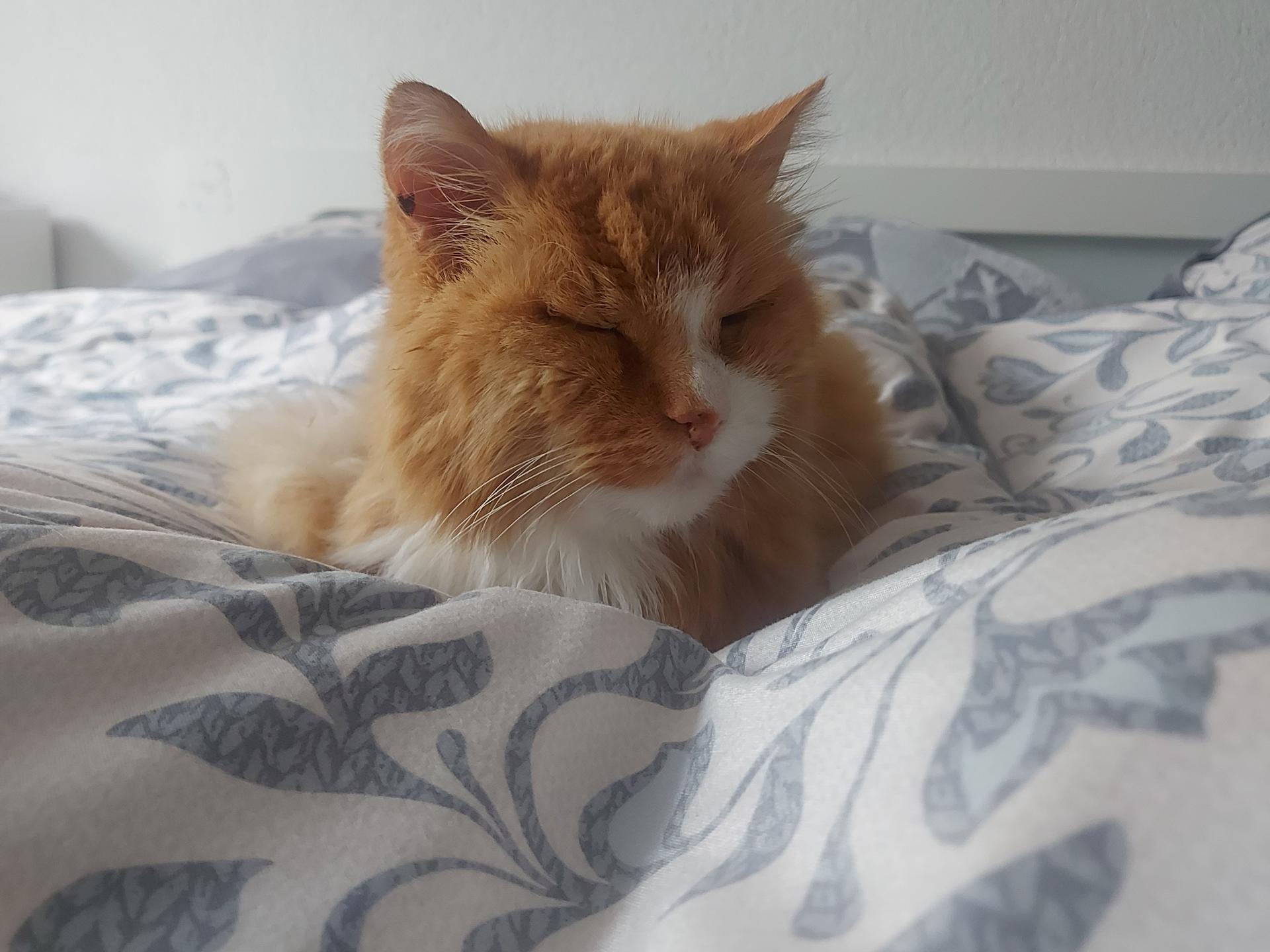 Ansicht 4 von Dr.med.vet. Marion Andreas