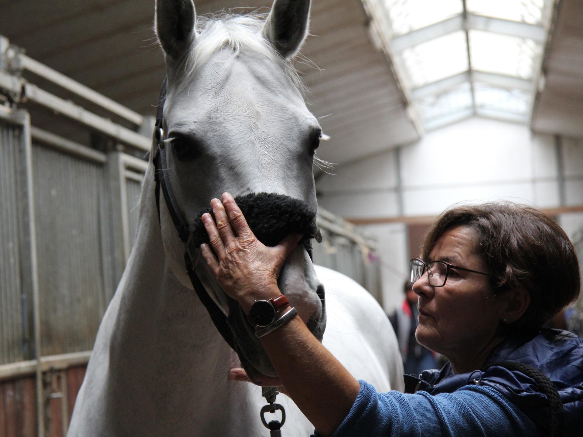 View 1 of Dr.med.vet. Caroline Schay-Briem Tierärztin
