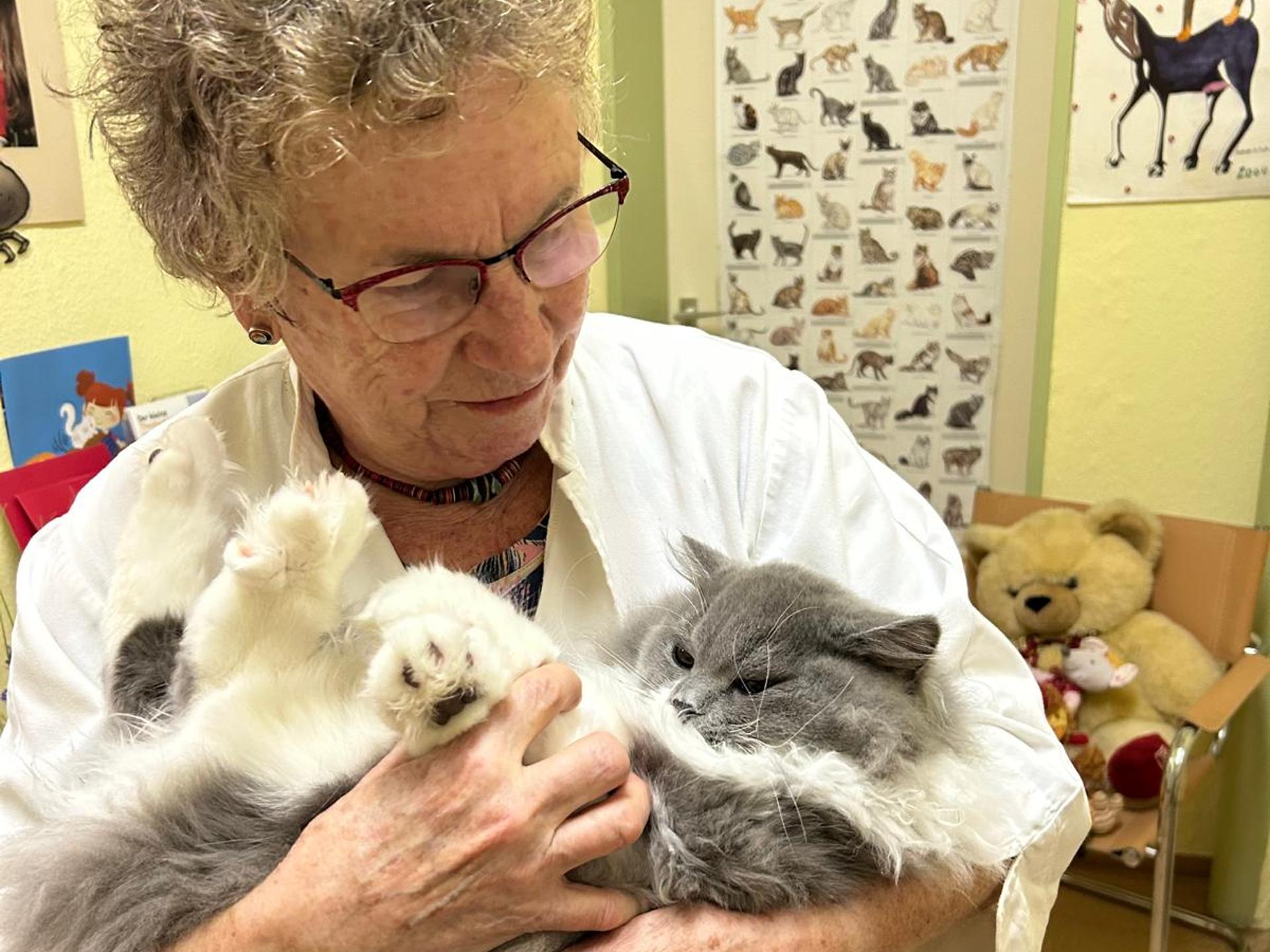 Ansicht 3 von Dr.med.vet. Doris Lohse