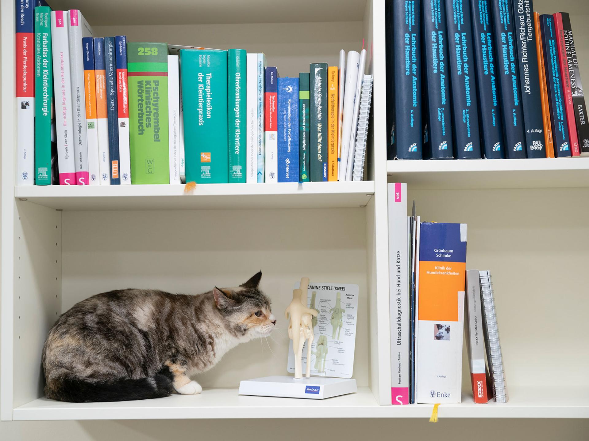 Ansicht 5 von Dr. Andrea Sanders