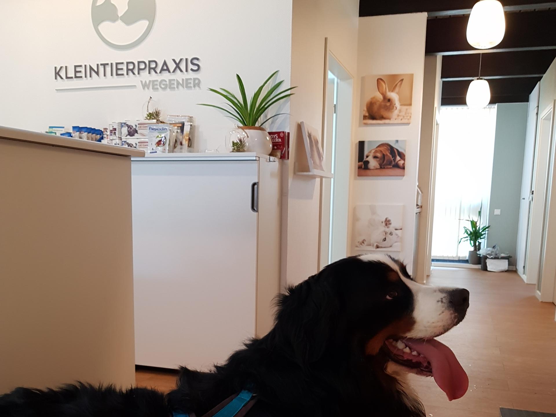 Ansicht 5 von Kleintierpraxis Wegener