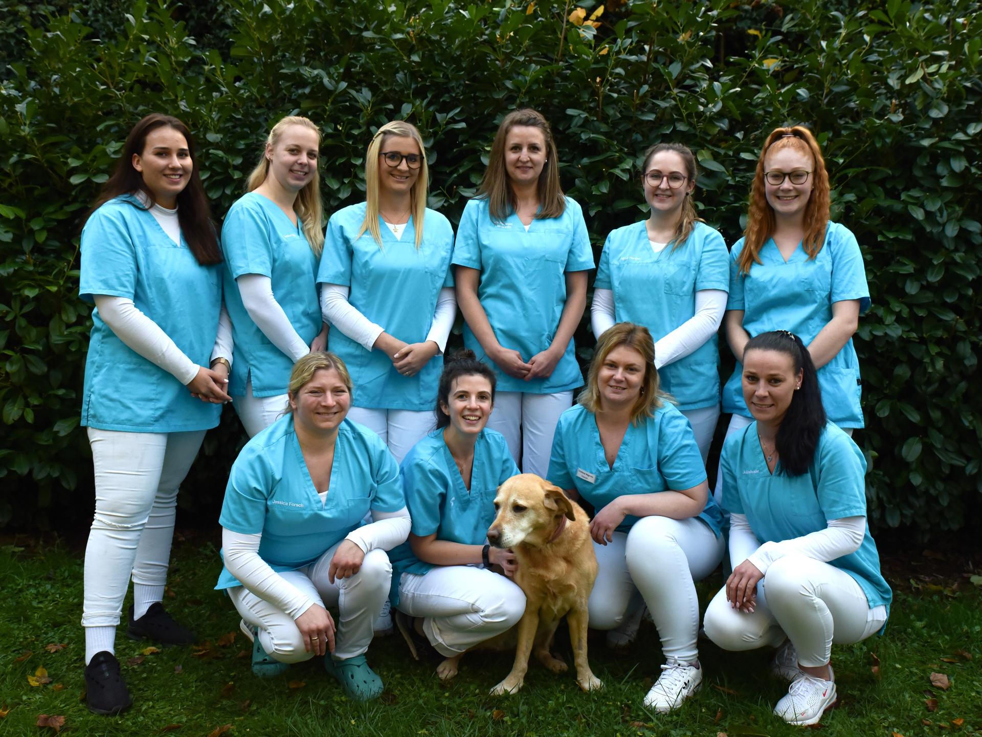 Ansicht 1 von Kleintierpraxis Kaiserslautern Tierärzte IVC Evidensia GmbH