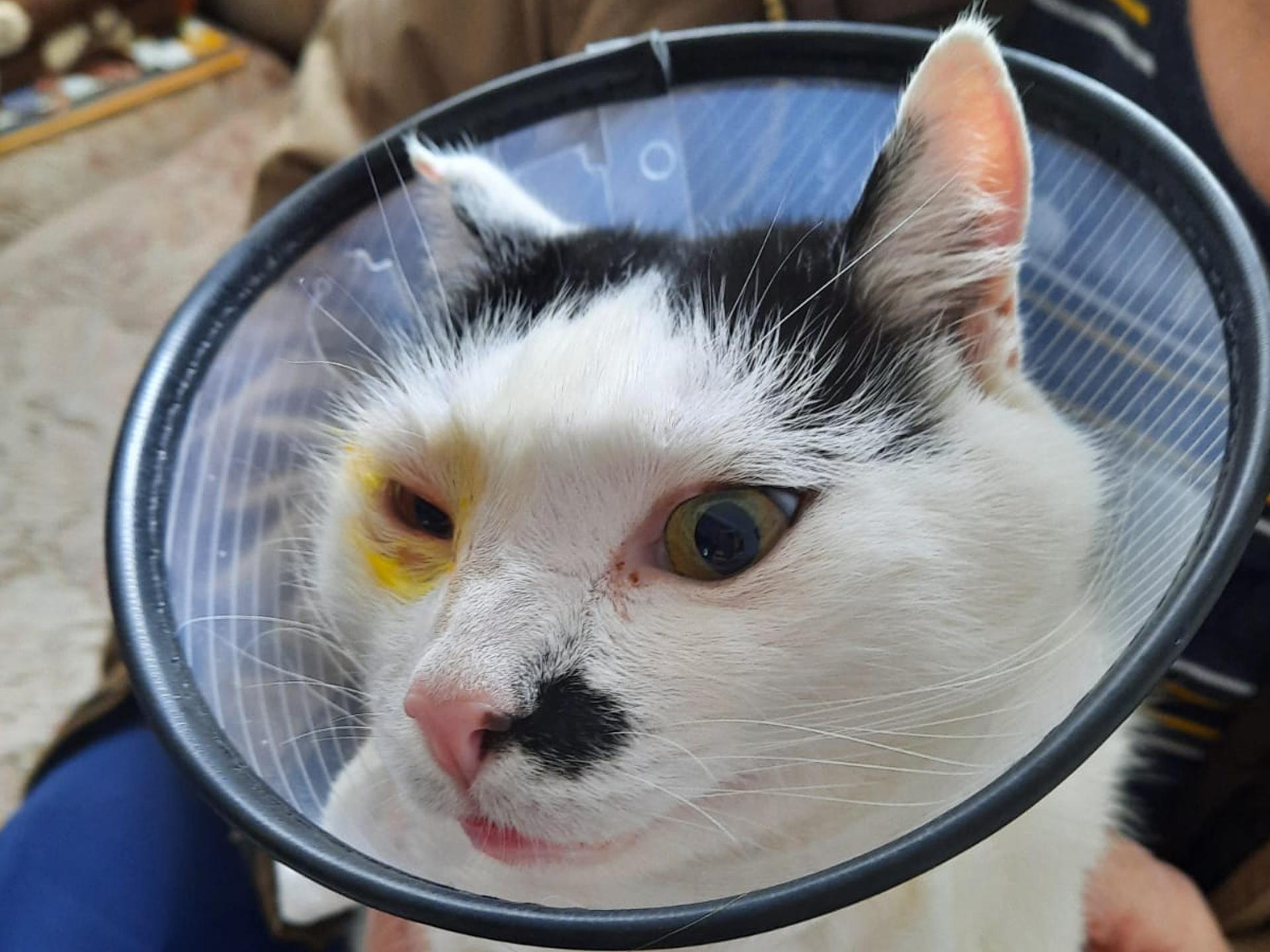 Ansicht 1 von Dr.med.vet. Anita Trützschler Tierärztin