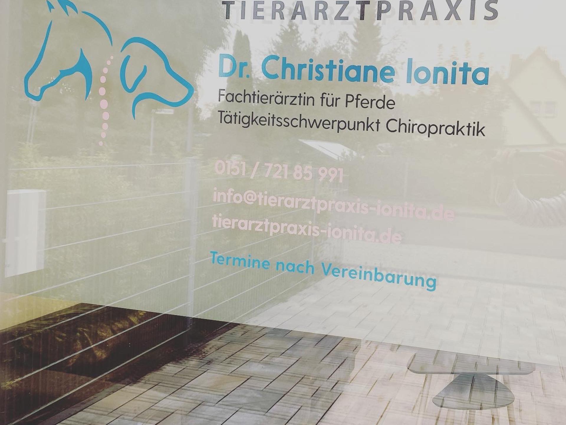 View 2 of Dr. Christiane Ionita - Fachtierärztin für Pferde