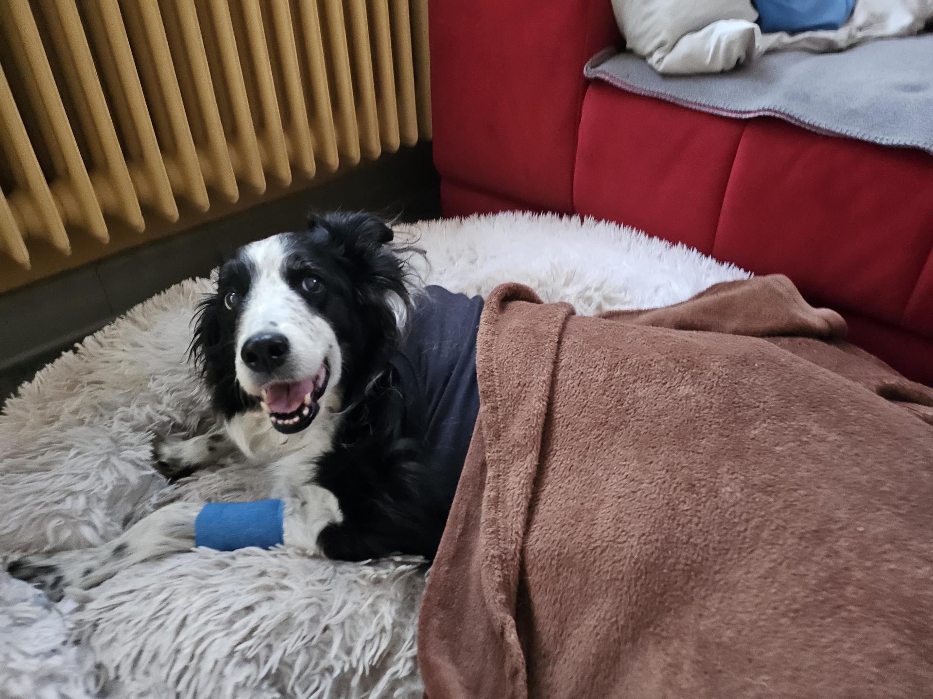 Ansicht 1 von Tierärztliche Klinik Fulda