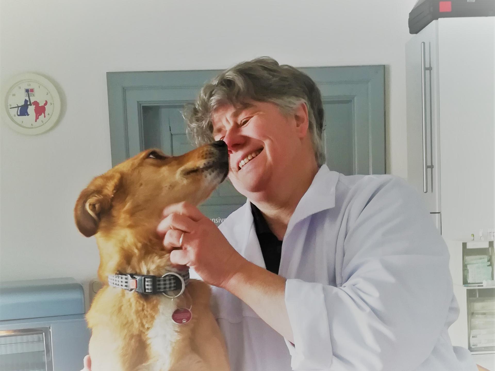 Ansicht 1 von Tierarztpraxis Dr. Grebenau-Klehr