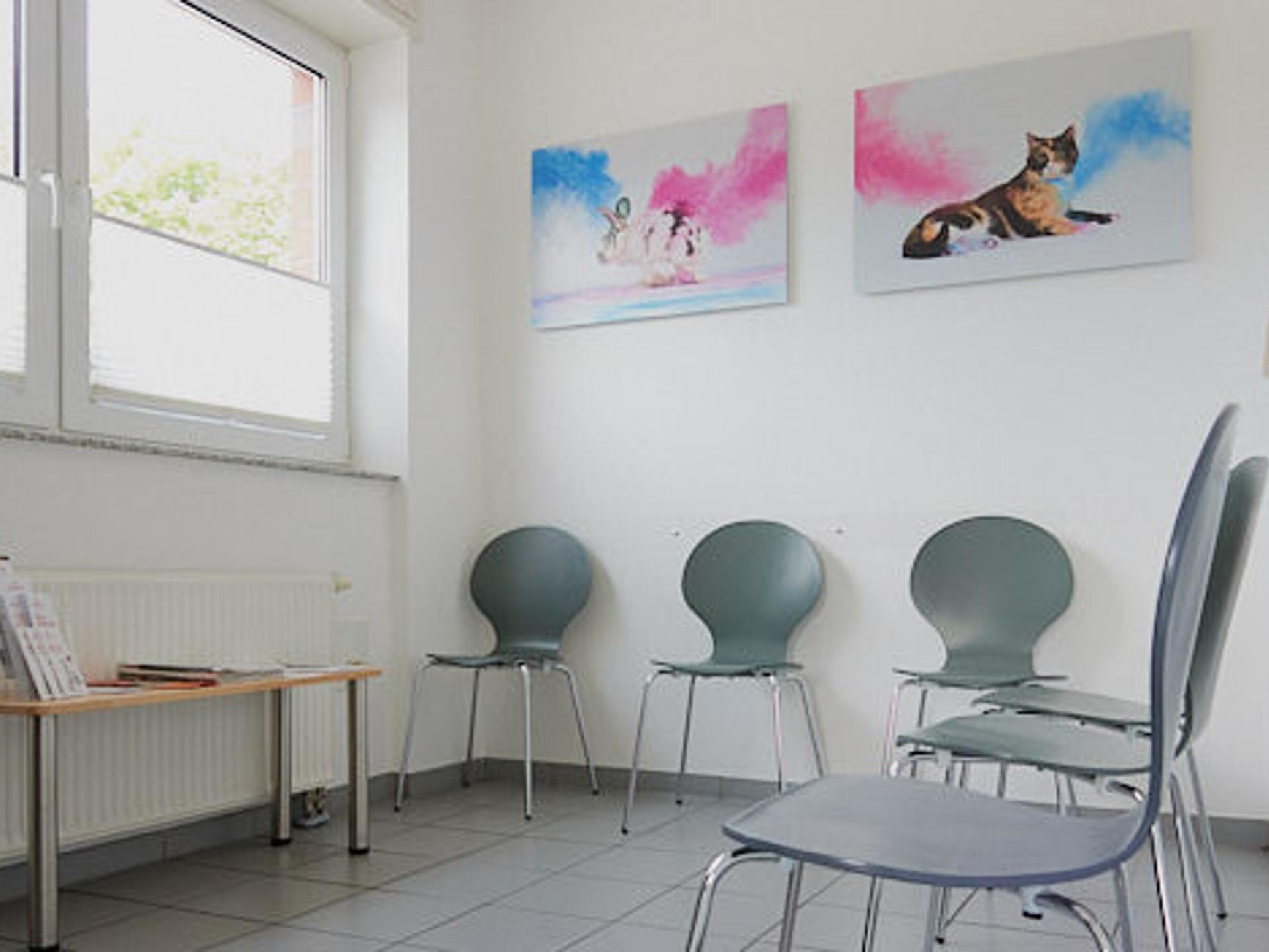 Ansicht 3 von Tierarztpraxis Dansweiler GmbH