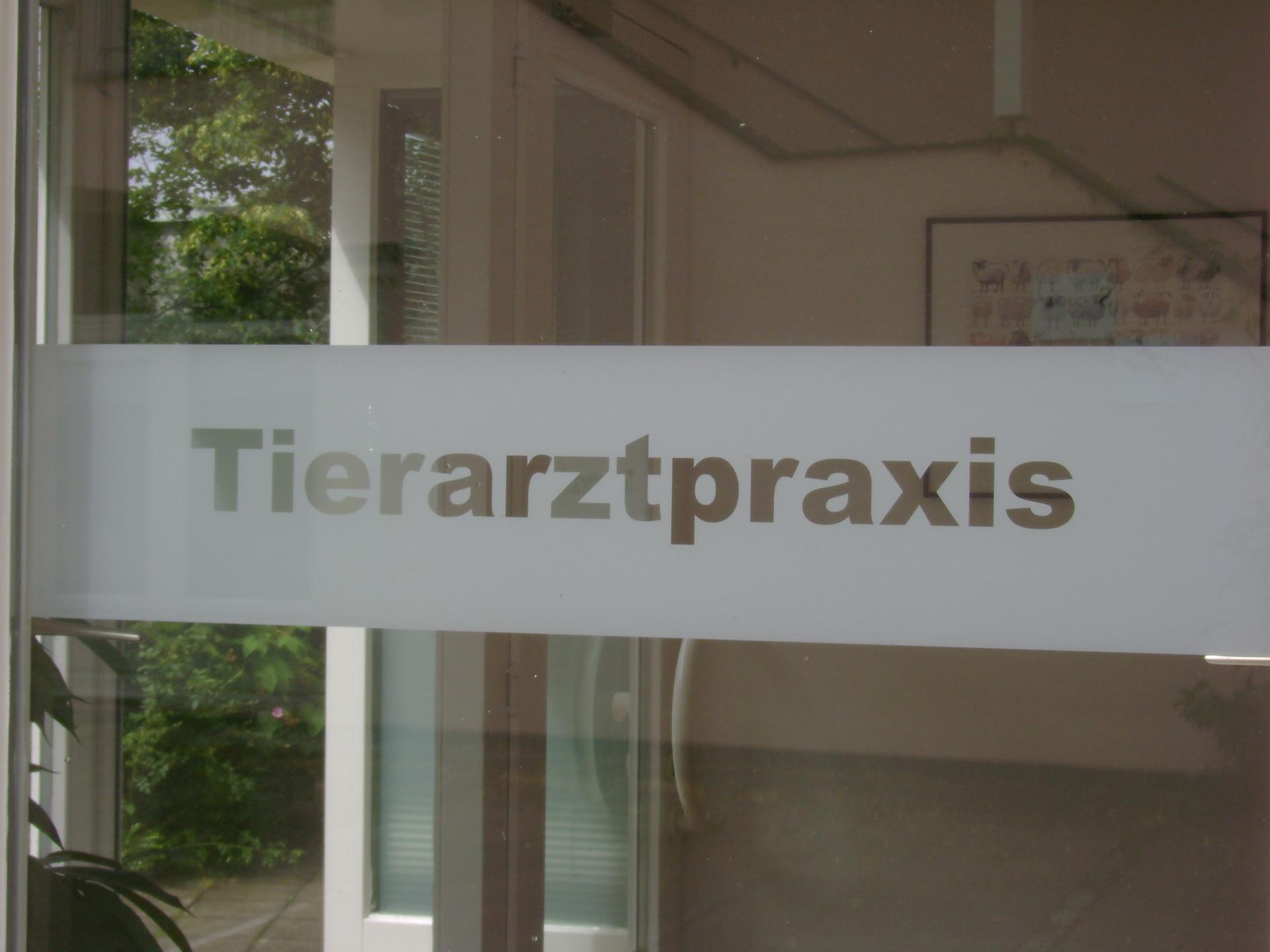 Ansicht 2 von Dr. Carolin Stommel - Tierarztpraxis Gauting