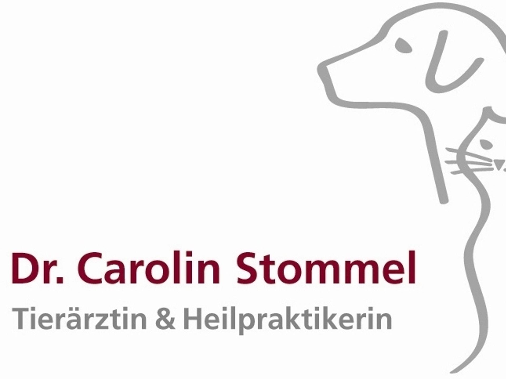 Ansicht 5 von Dr. Carolin Stommel - Tierarztpraxis Gauting