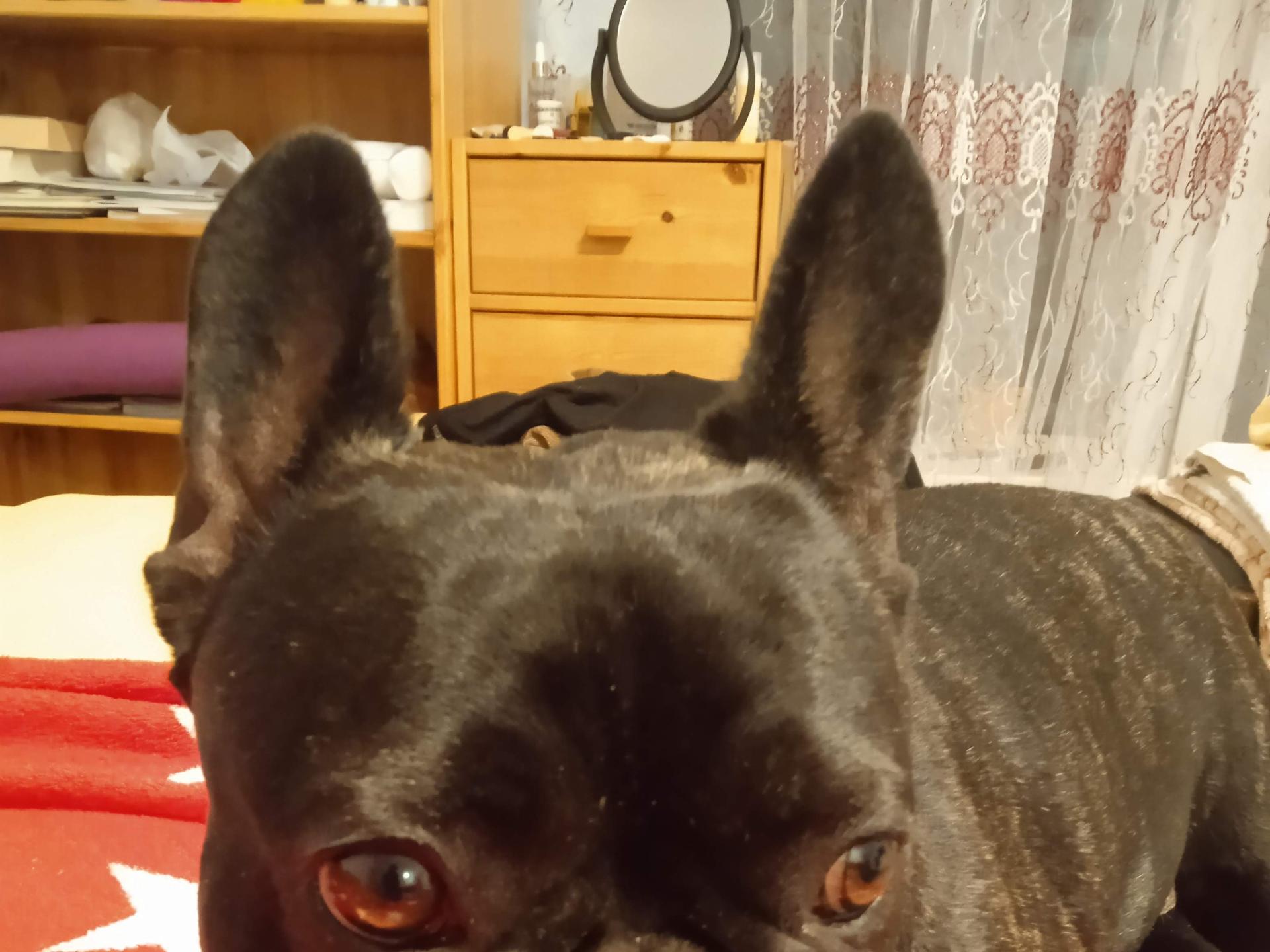 Ansicht 3 von Dr. Michael Parizek