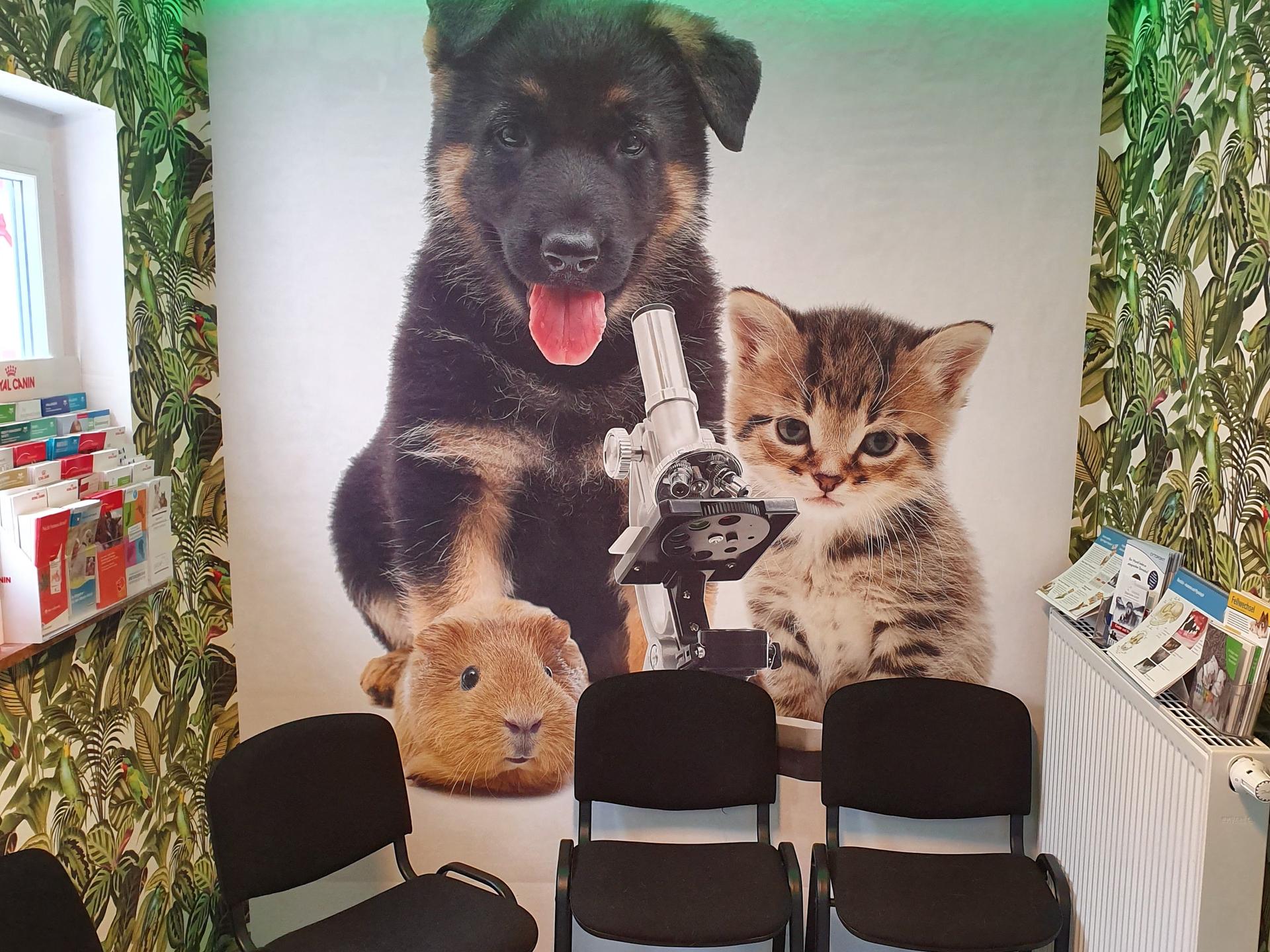 Ansicht 2 von Tierarztpraxis Ullmann
