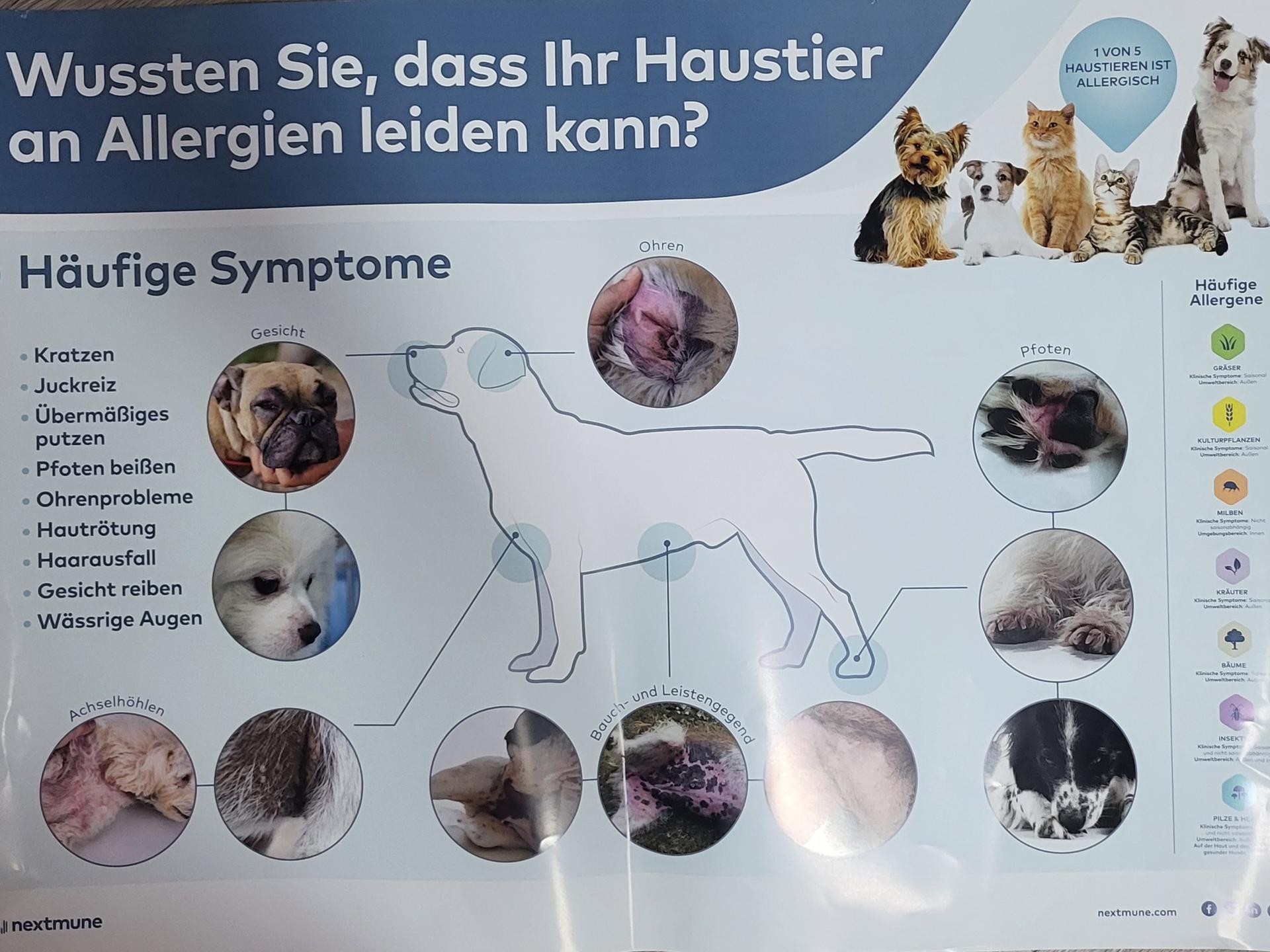 Ansicht 3 von Tierarztpraxis Ullmann