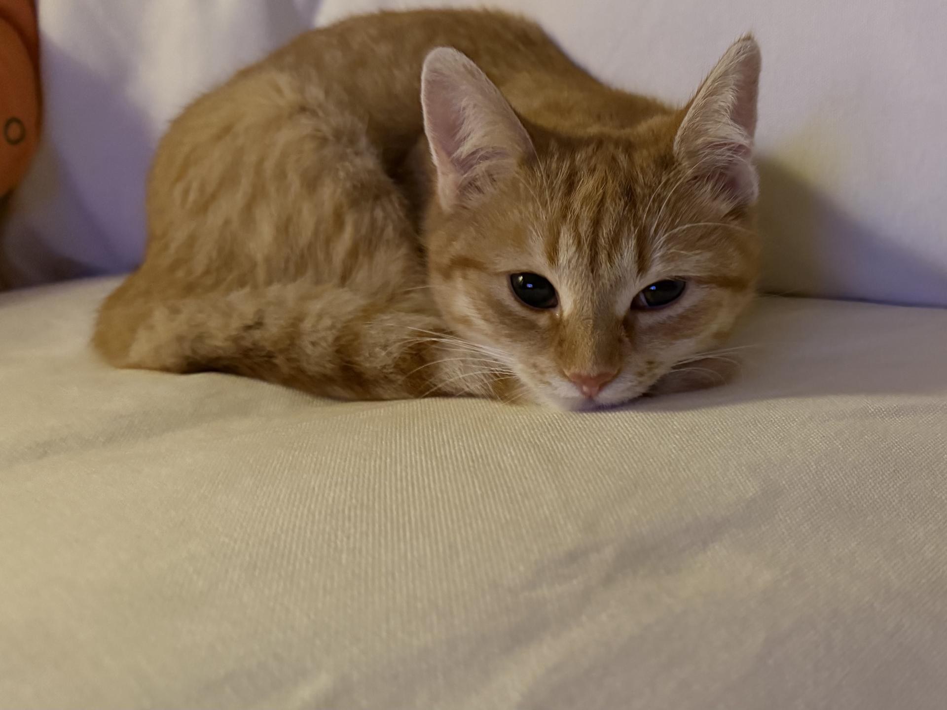 Ansicht 1 von Praxis Tierzuliebe
