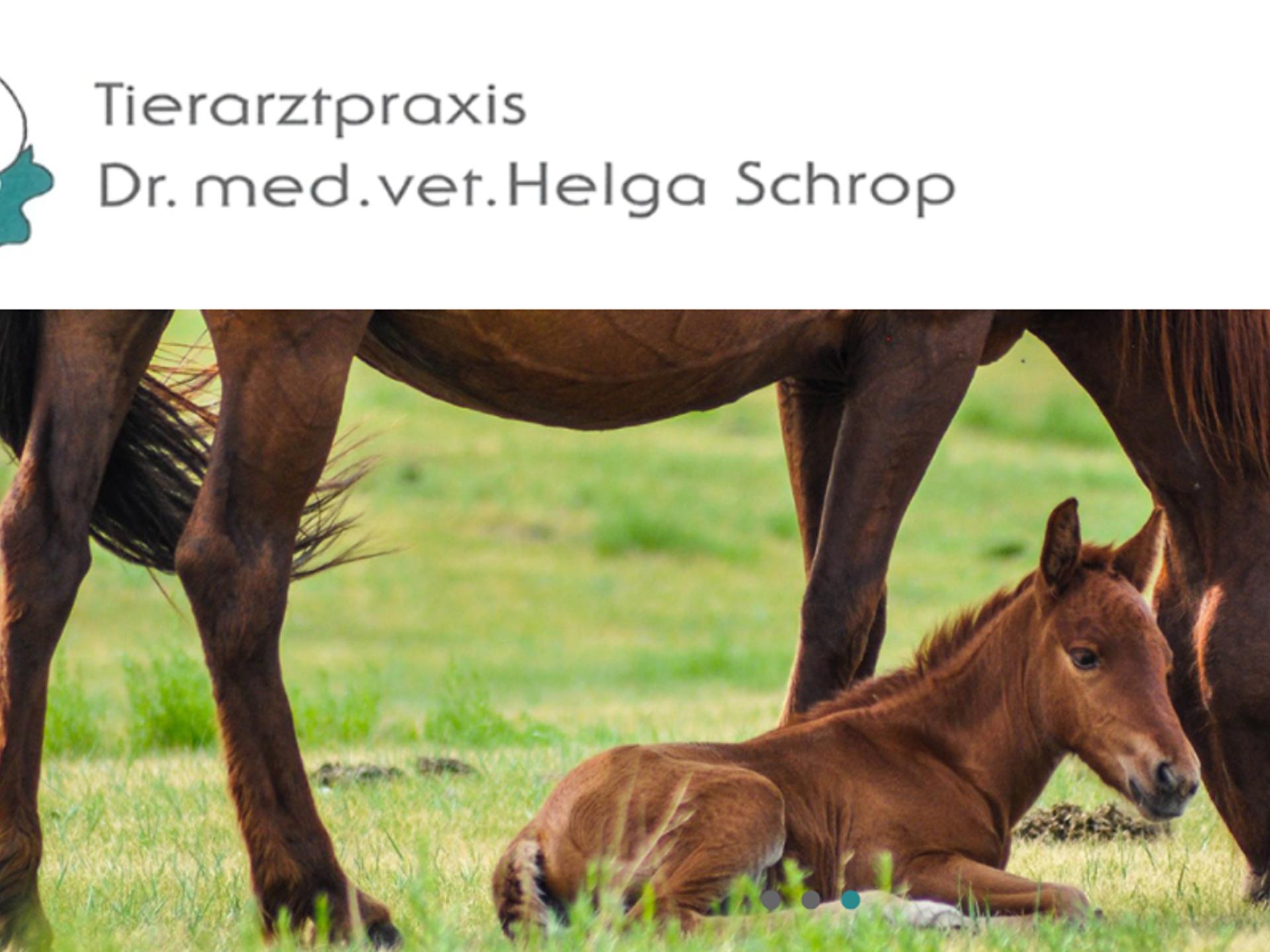 View 1 of Dr. med. vet. Helga Schrop | Tierärztin für Pferde