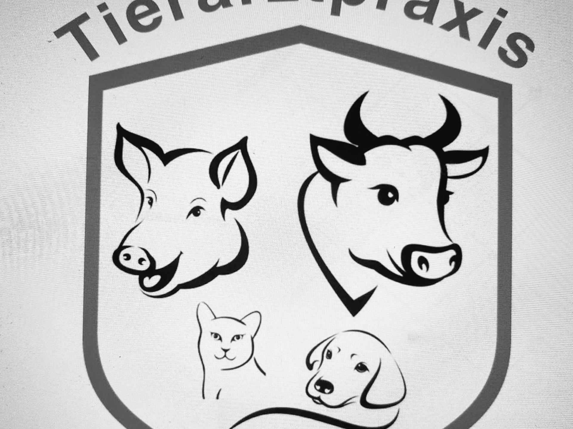 Ansicht 1 von Tierarztpraxis Fritz