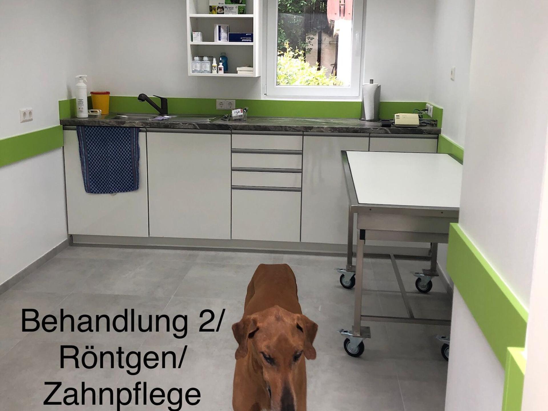 Ansicht 2 von Kleintierpraxis Dr. med.vet. Barbara Müller