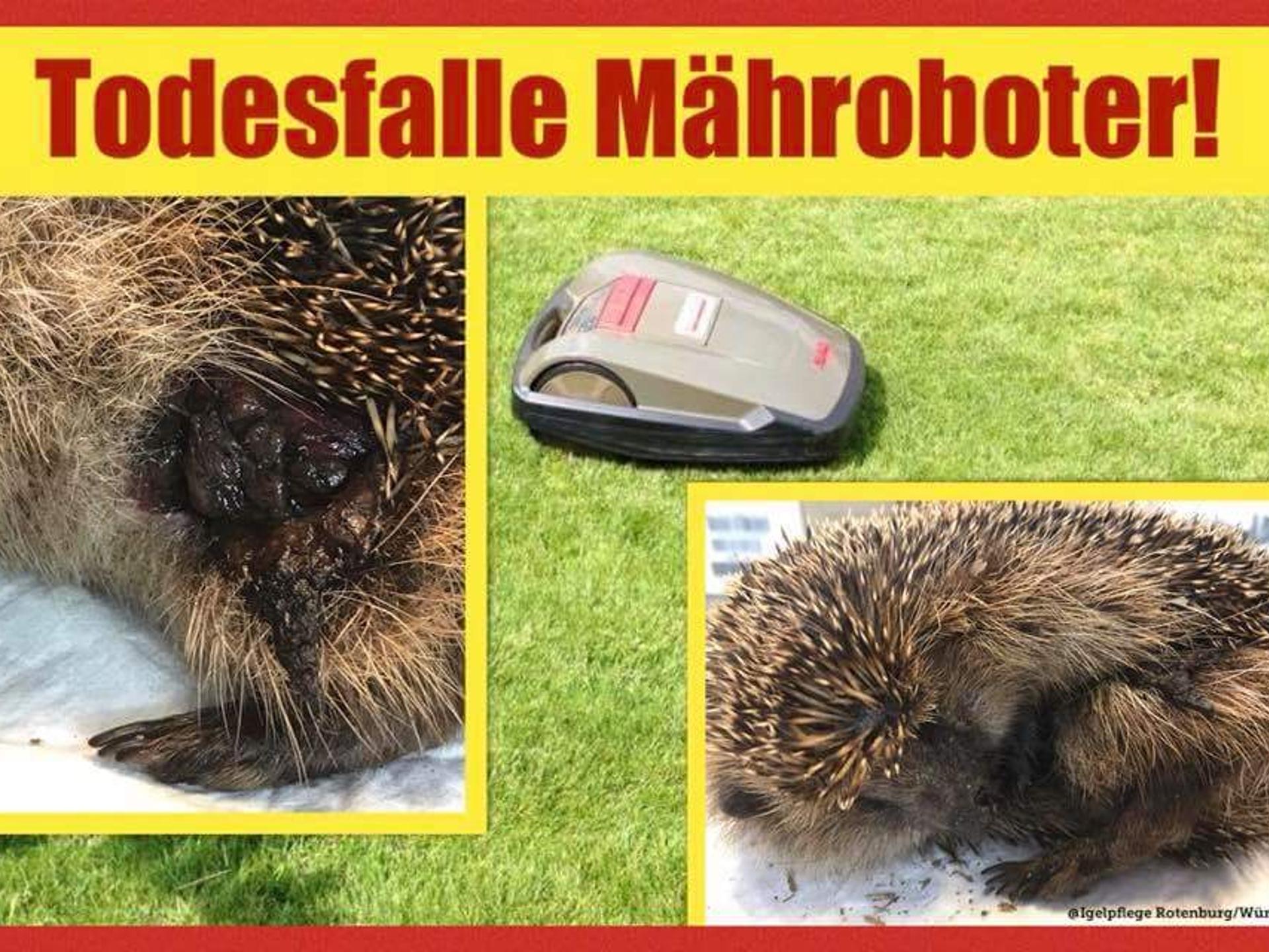 Ansicht 4 von Kleintierpraxis bei Anna