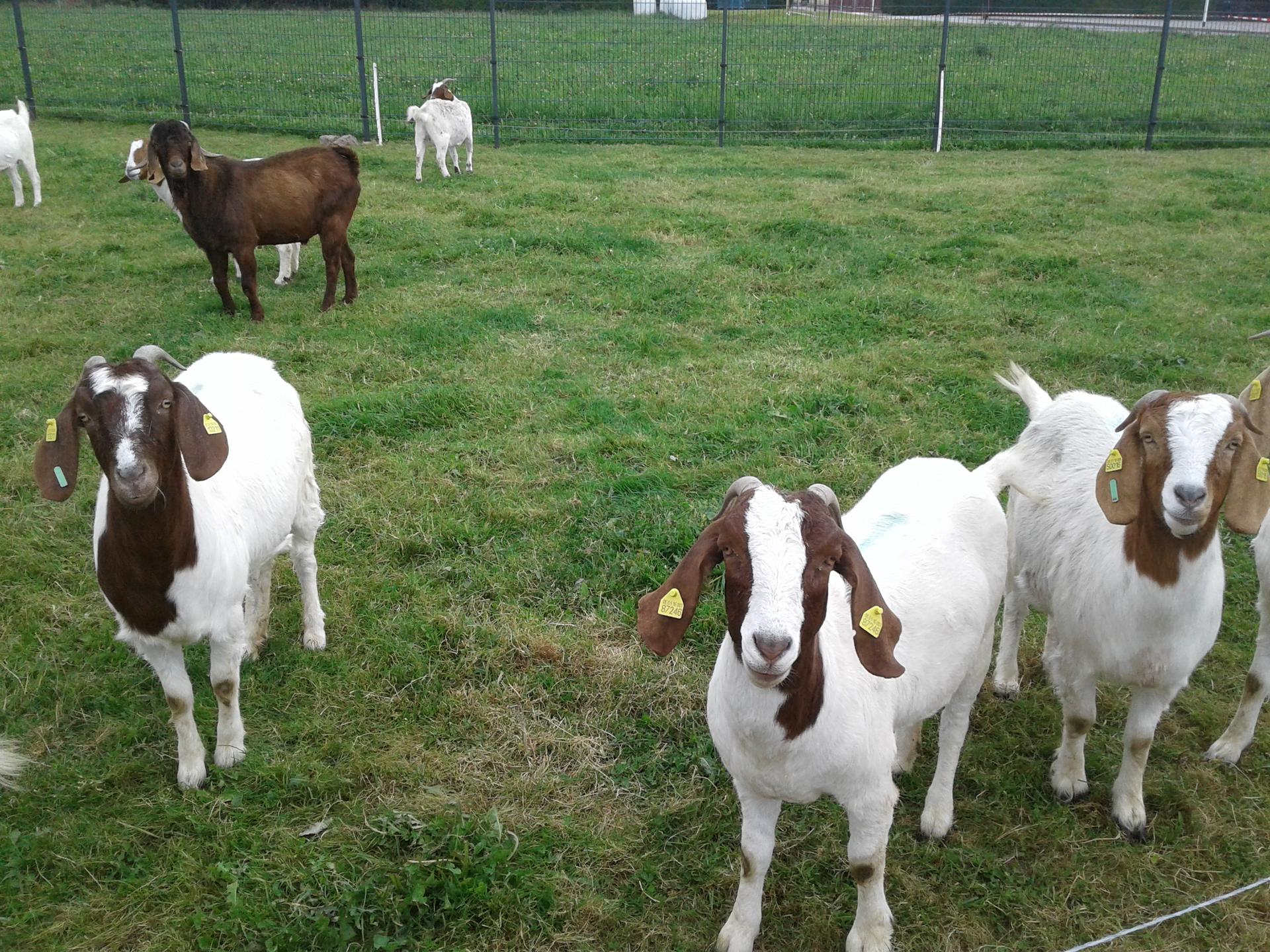 Ansicht 1 von Tierarztpraxis Dr. Oetzel Fambach