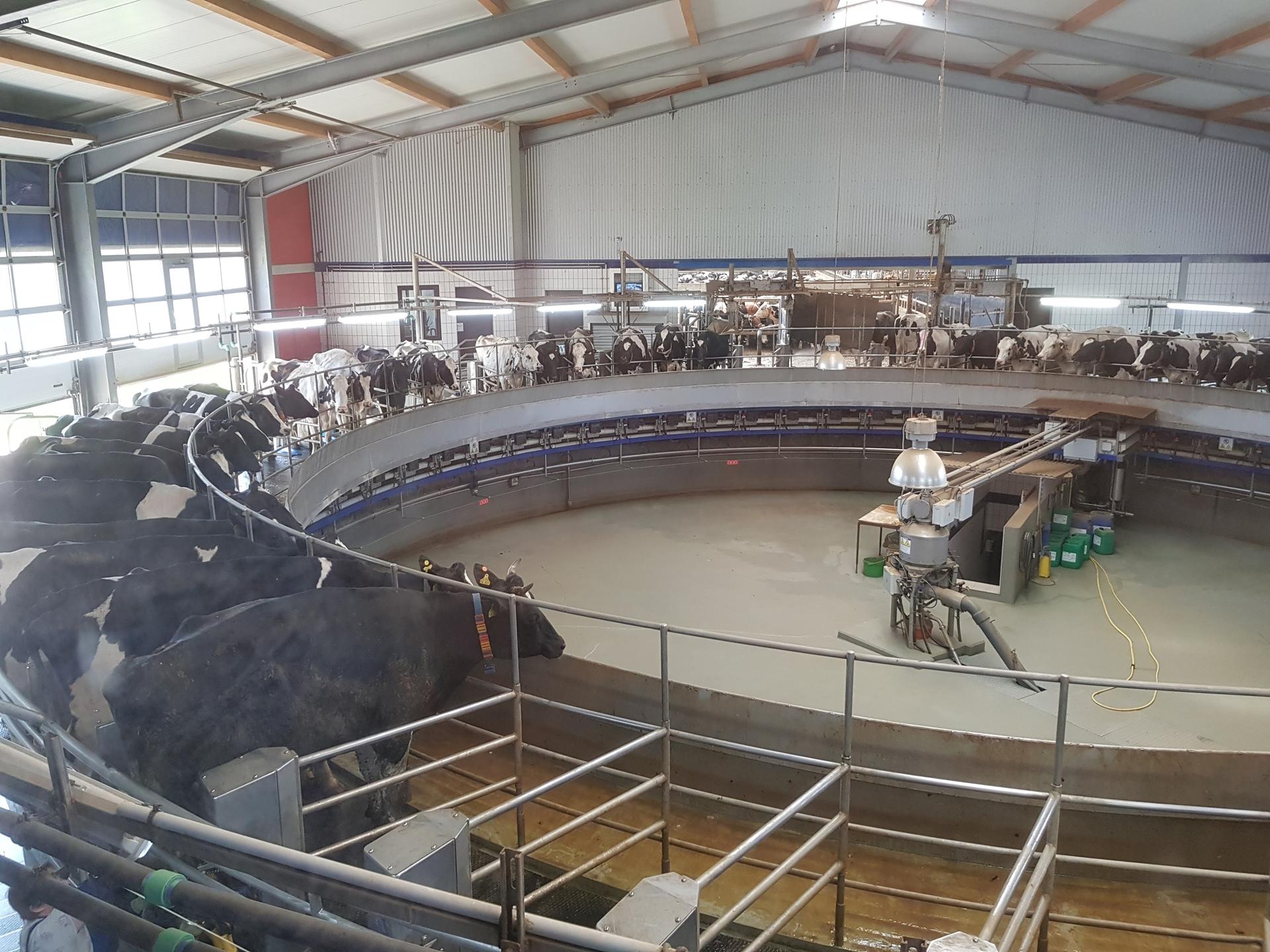 View 3 of Milchviehanlage Kremmen Verwaltungs-GmbH