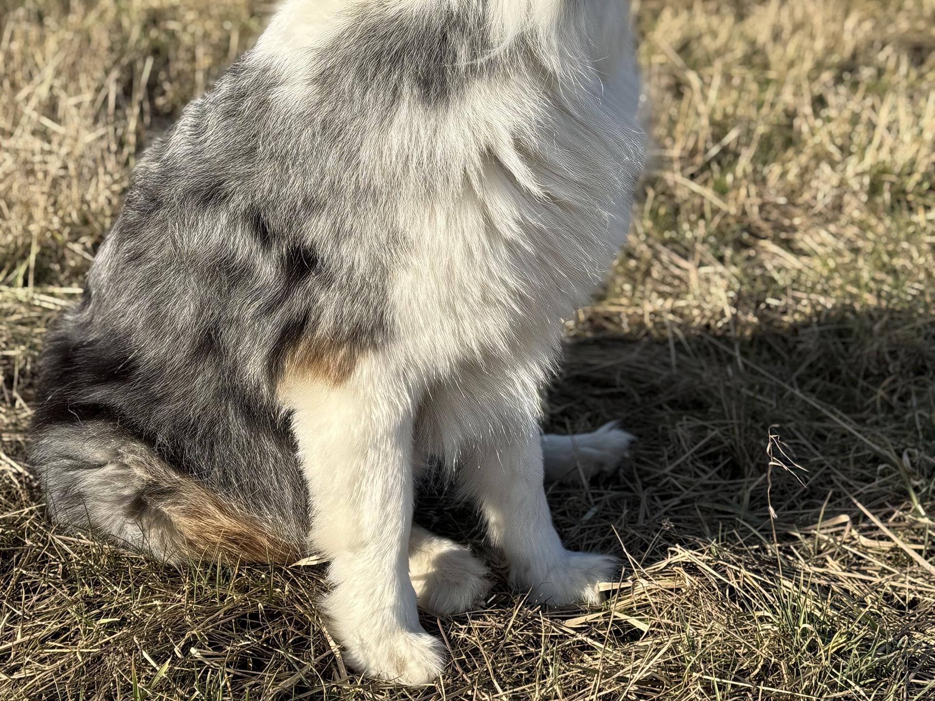 Ansicht 4 von Tierarzt Kutzner