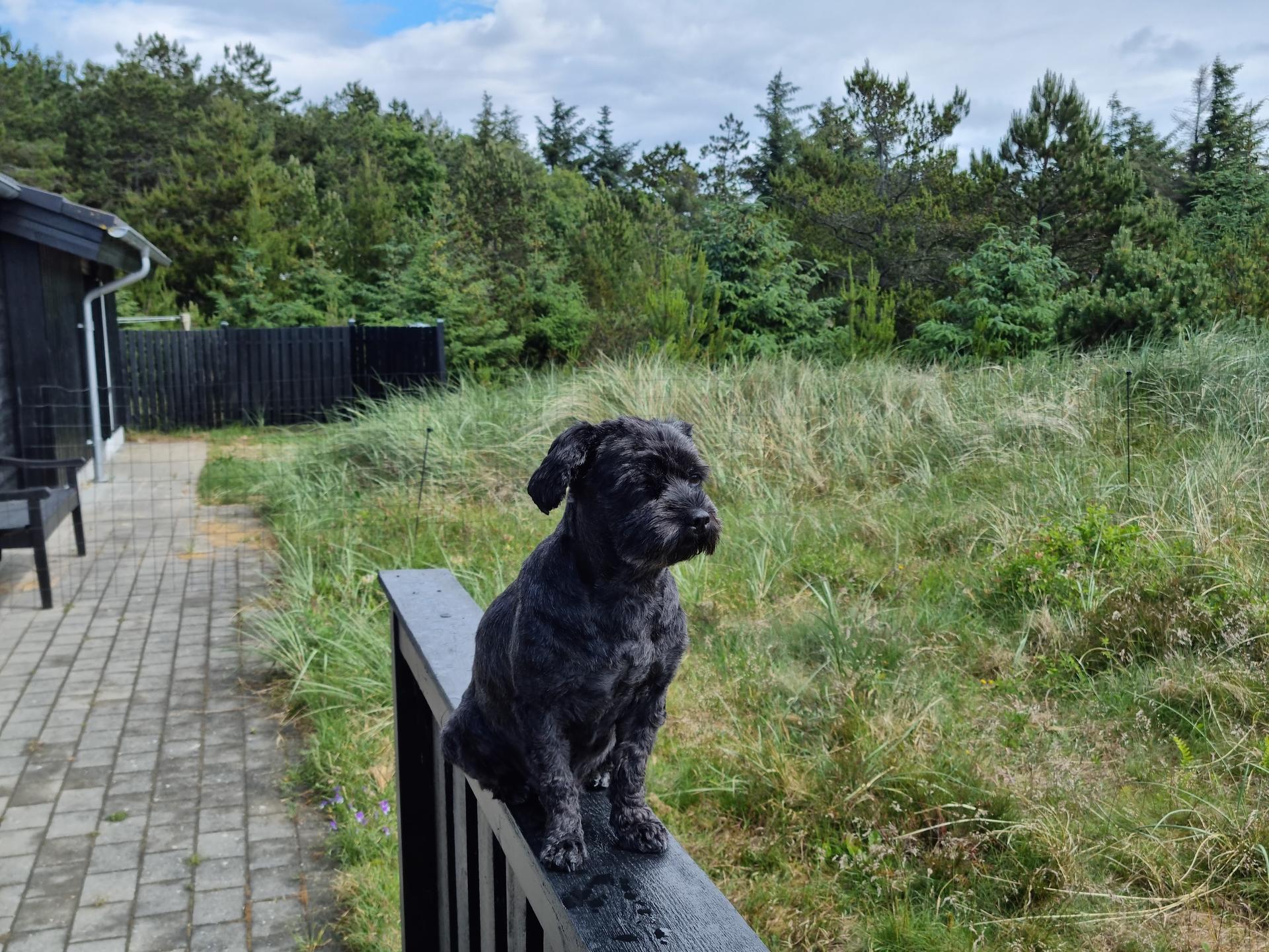 Ansicht 2 von Kleintierpraxis Heide Kersten
