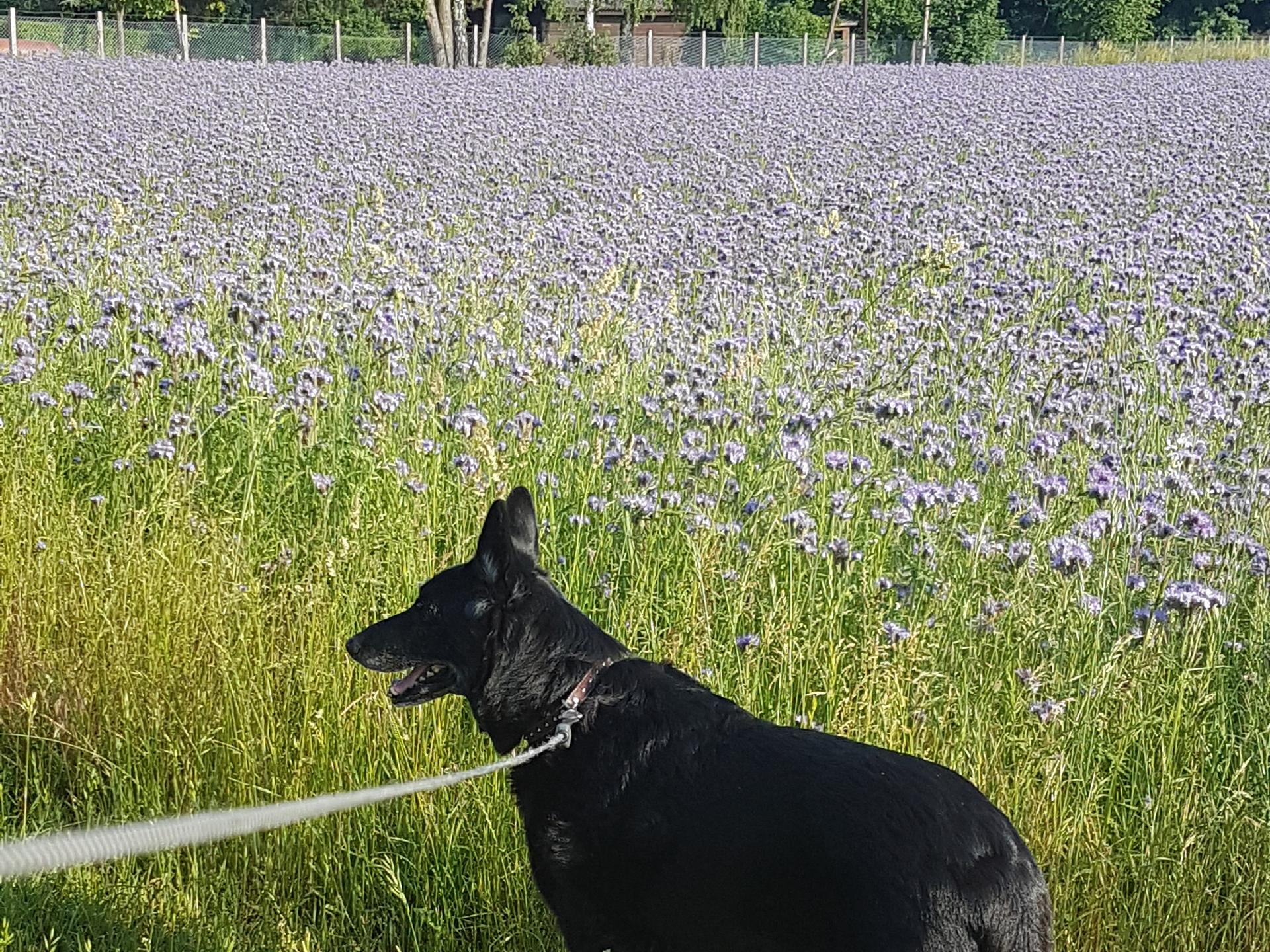 Ansicht 3 von Kleintierpraxis Heide Kersten