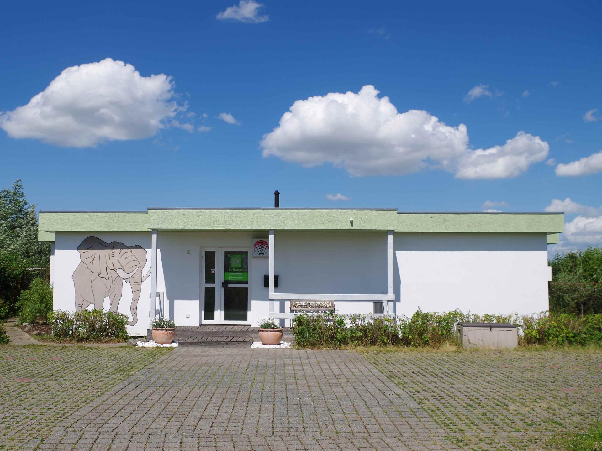 Ansicht 5 von Tierarztpraxis Dr. Homann