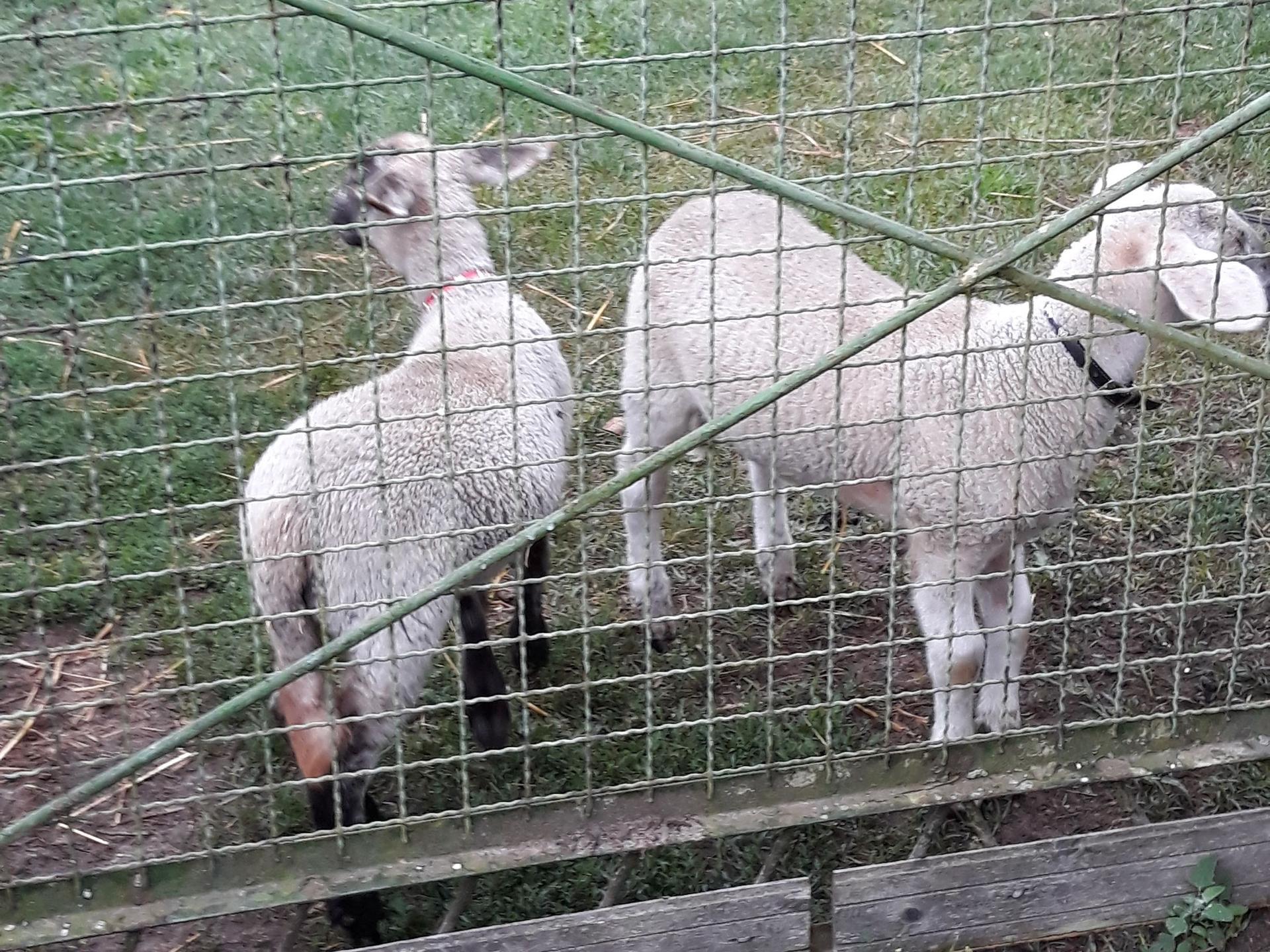 Ansicht 1 von Carsten Löffelholz Tierarzt
