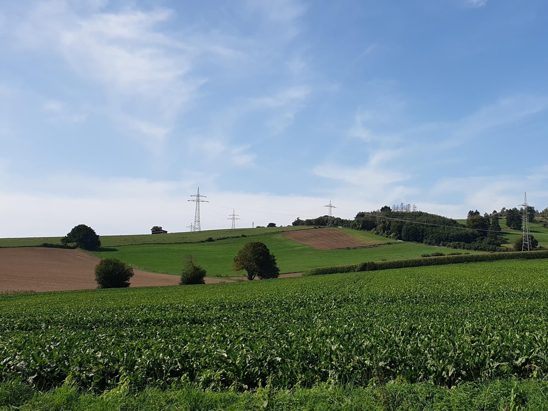 View 1 of Jens Mühlberg