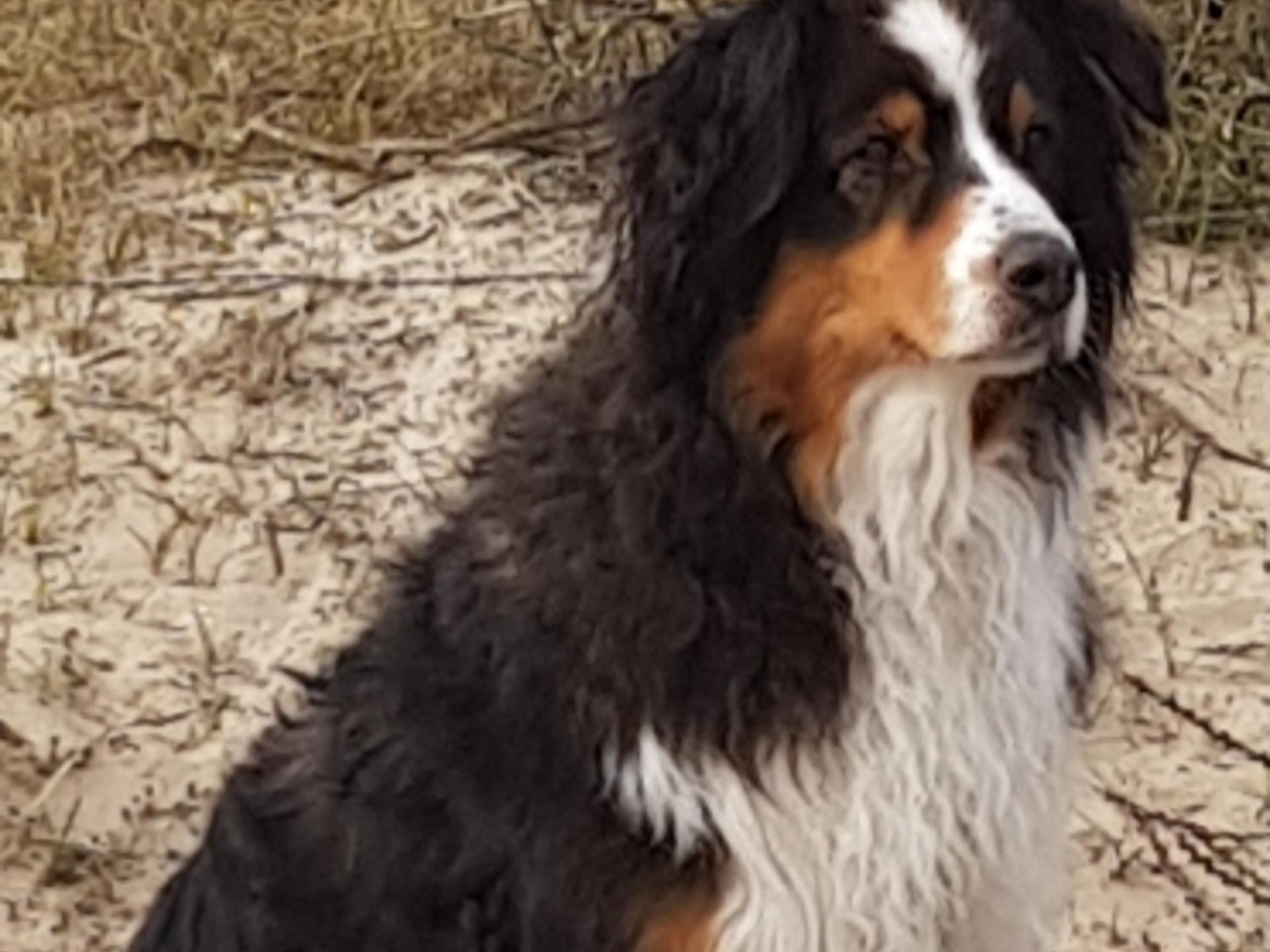 Ansicht 3 von Tierärztliche Praxis für Kleintiere