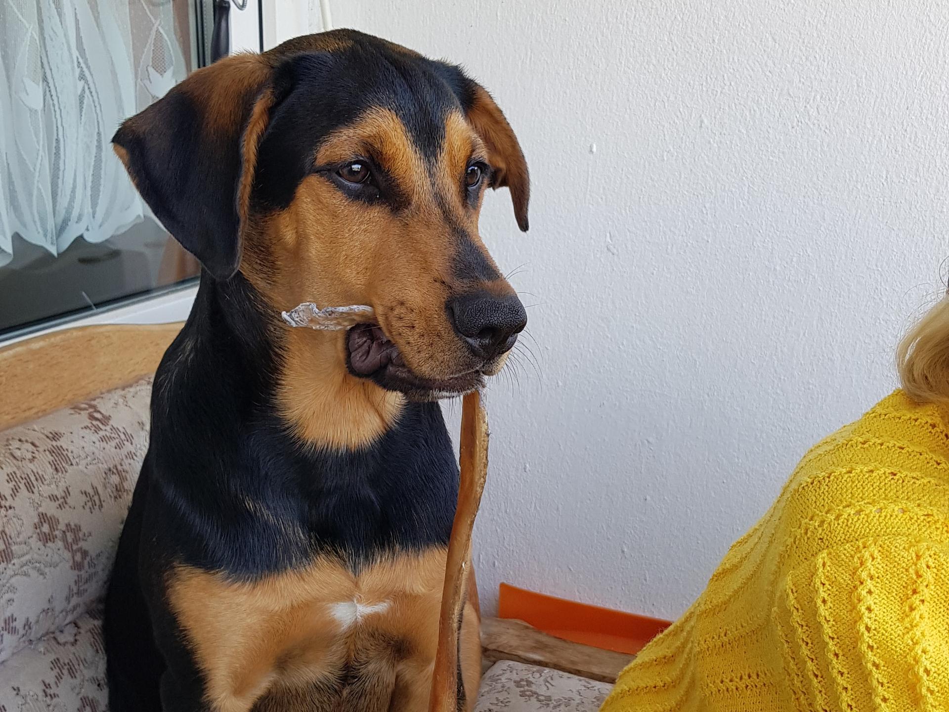 Ansicht 2 von VETDOC-HIMMELPFORTEN