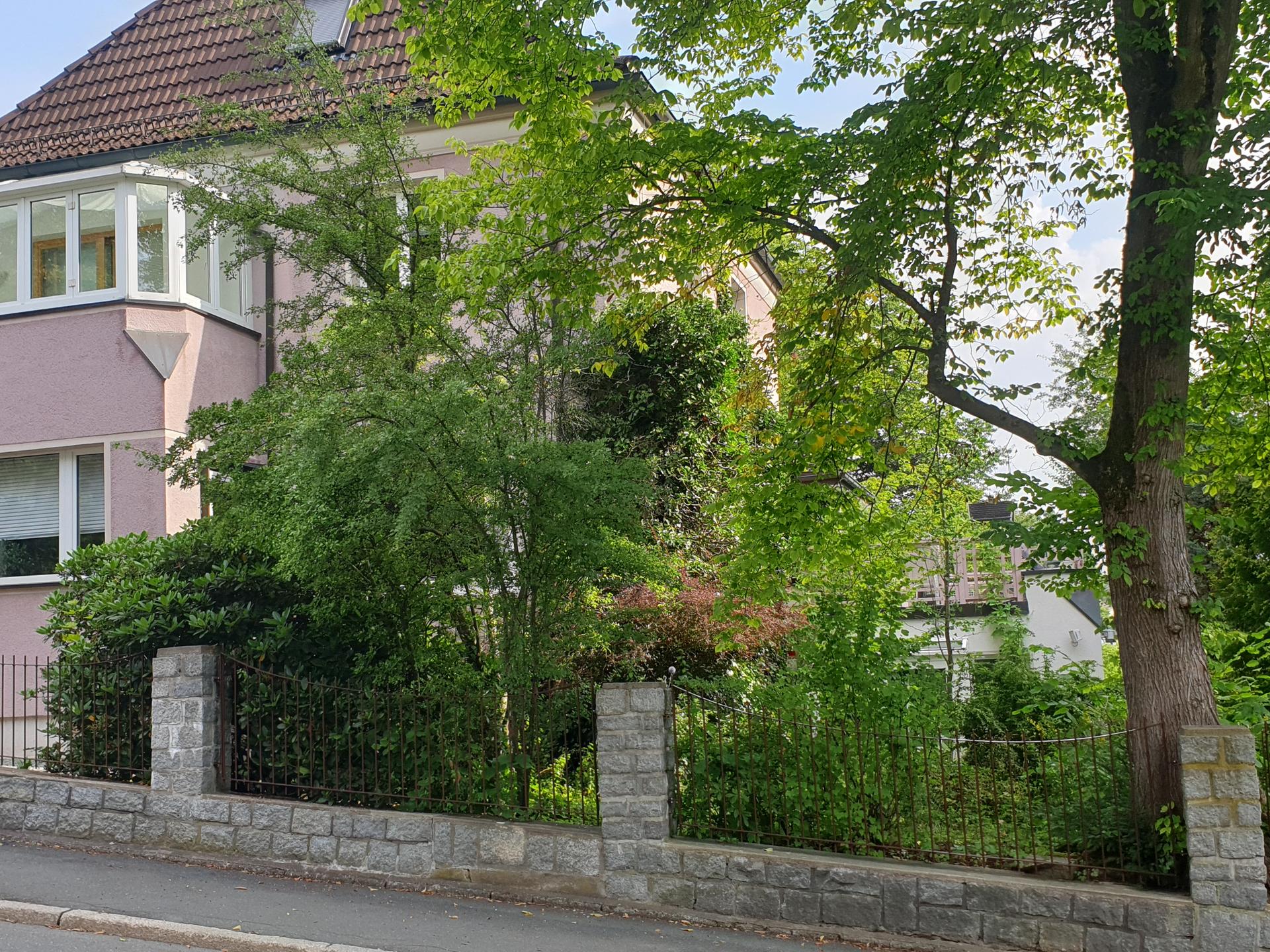 Ansicht 1 von Dr.med.vet. Bernhard Hornig