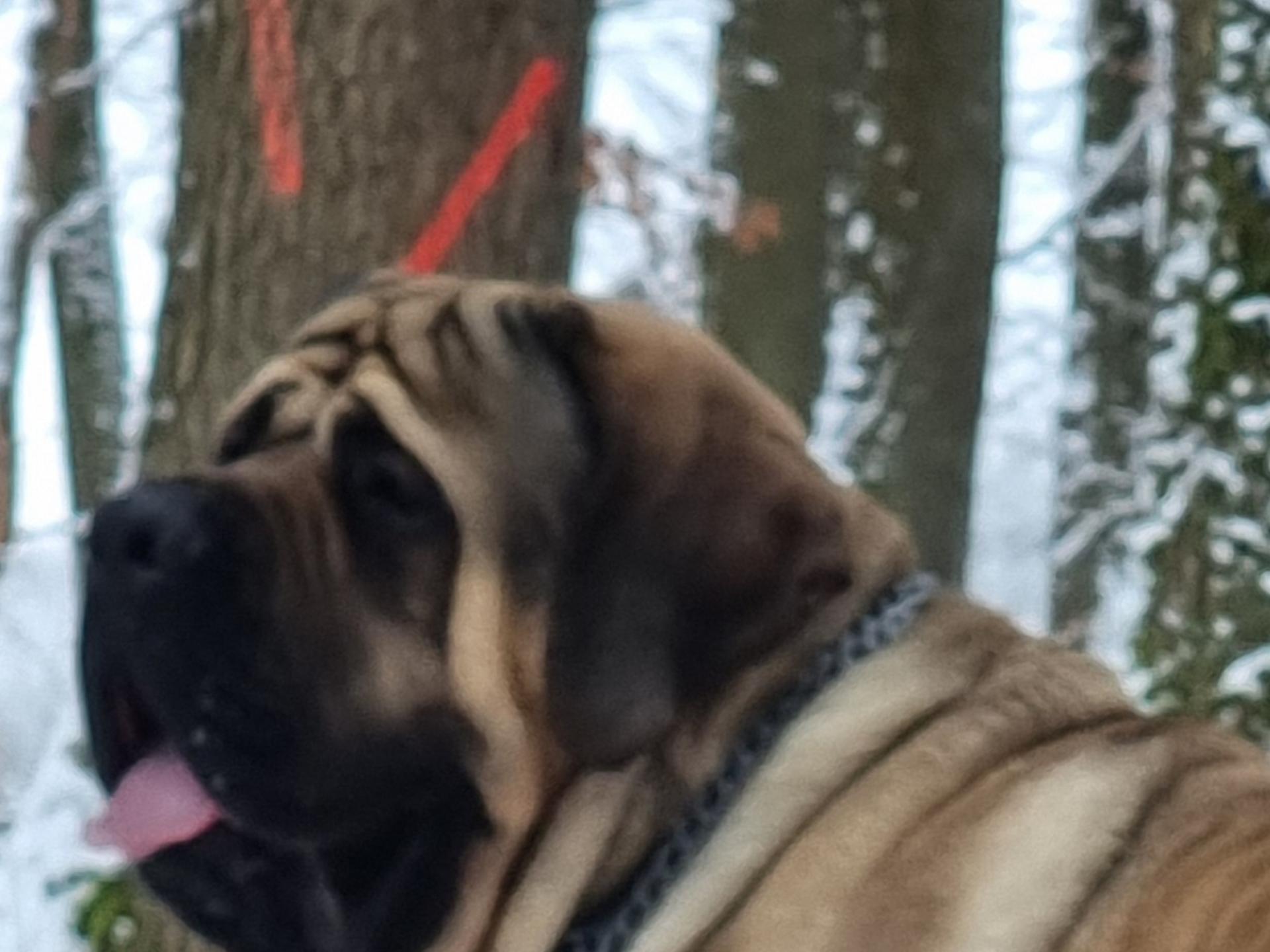 Ansicht 3 von Tierarztpraxis Hof Wehneberg