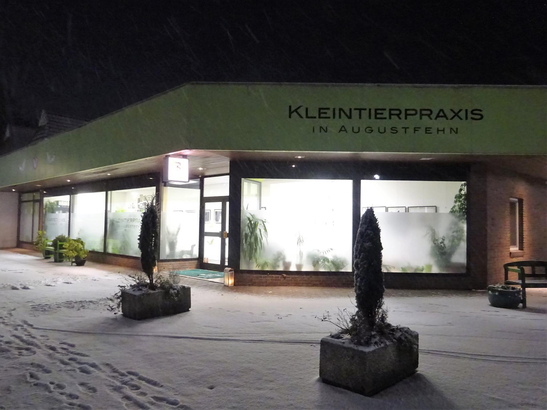 Ansicht 3 von Kleintierpraxis in Augustfehn