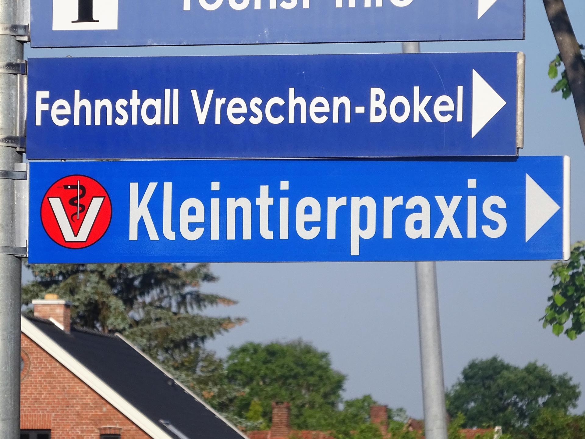Ansicht 4 von Kleintierpraxis in Augustfehn