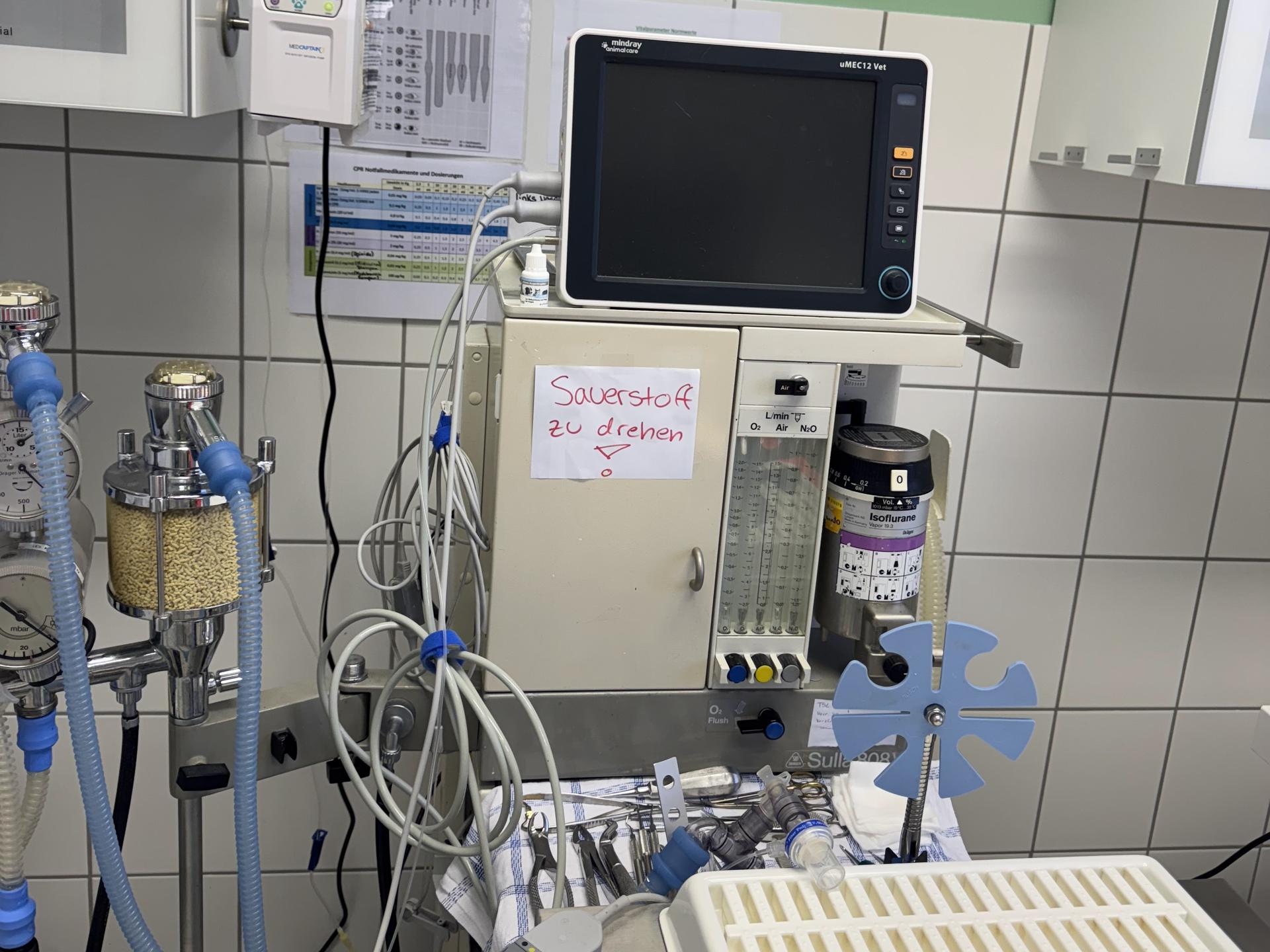 Ansicht 2 von Tierärztliches Gesundheitszentrum | Peckelsheim